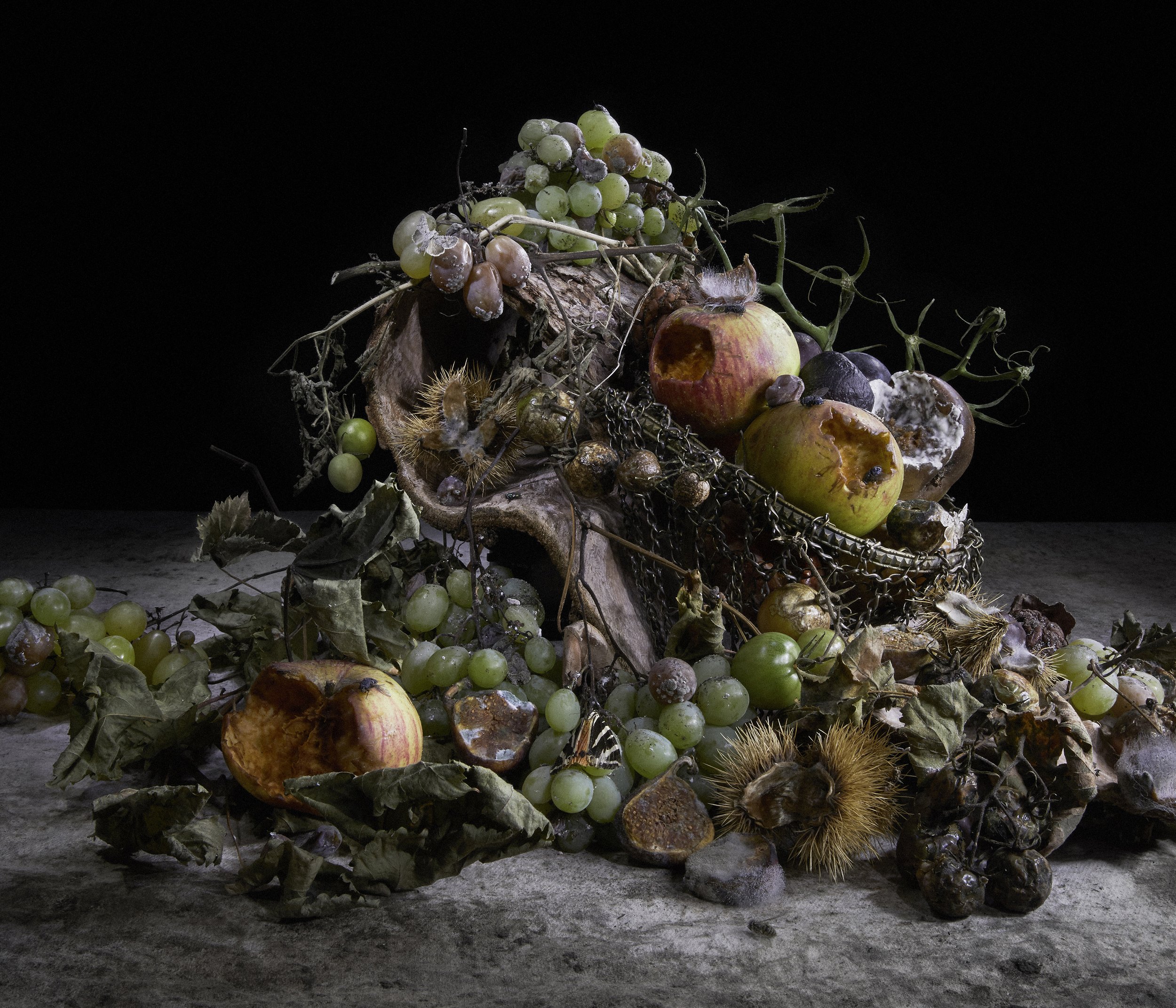Rotten_Veg14871_Crop2.jpg