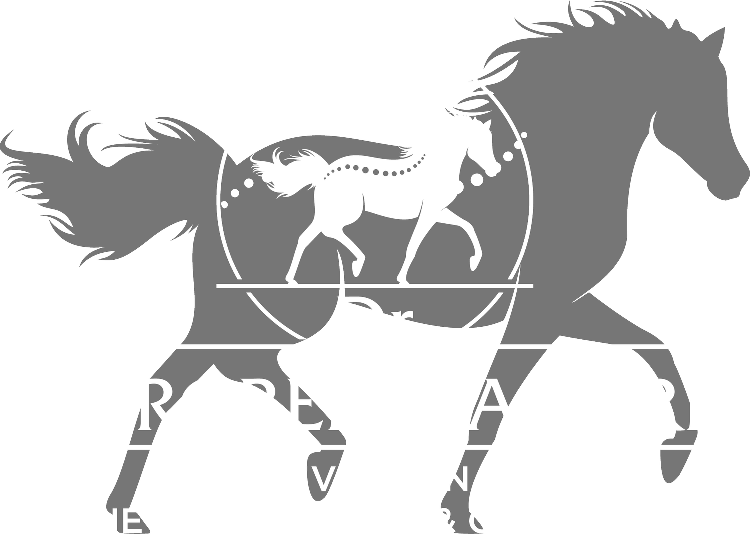    Sport Horse Medicine - chiropractic- acupuncture 