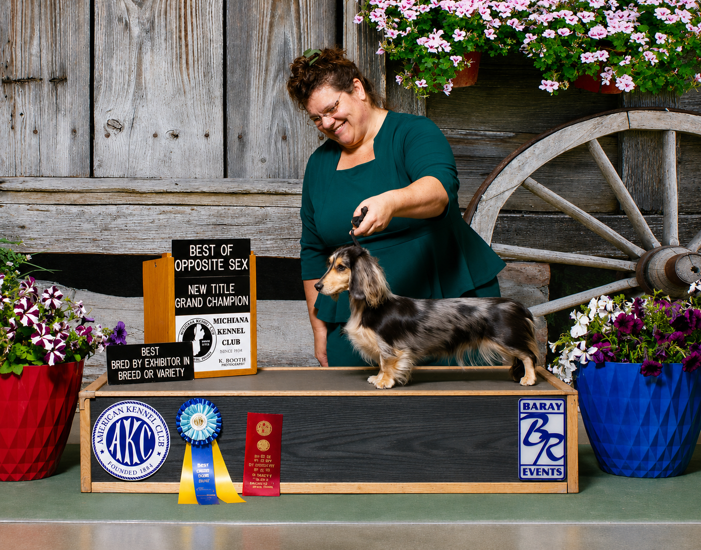 GCH BunBun Finishing her Grand!!