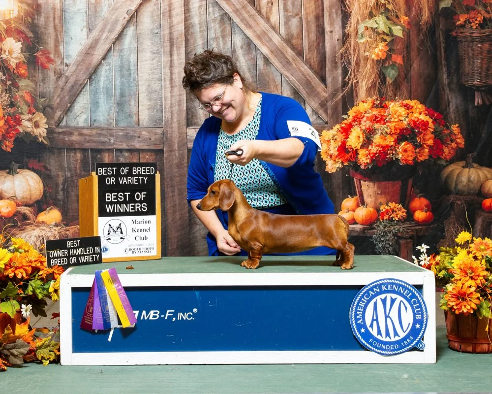 Champion Gherkin- Pickle x Jinx