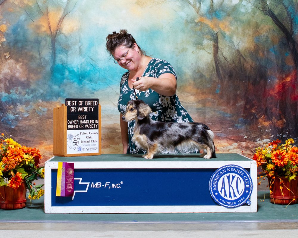 Champion BunBun- GCH Finn and BB