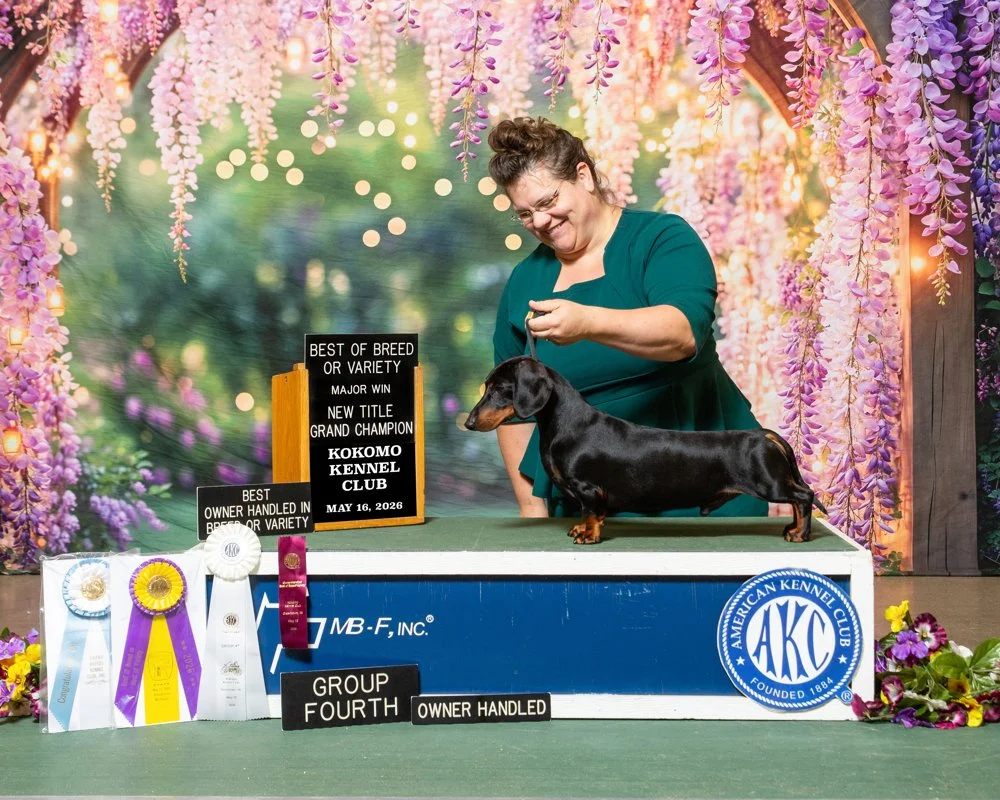 GCH Stellar OH group Four!!! 
