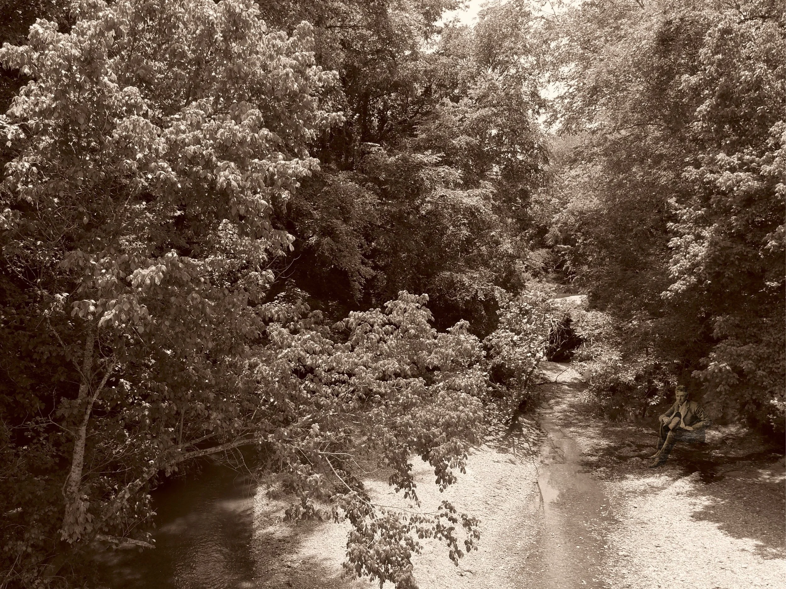 Owl Creek