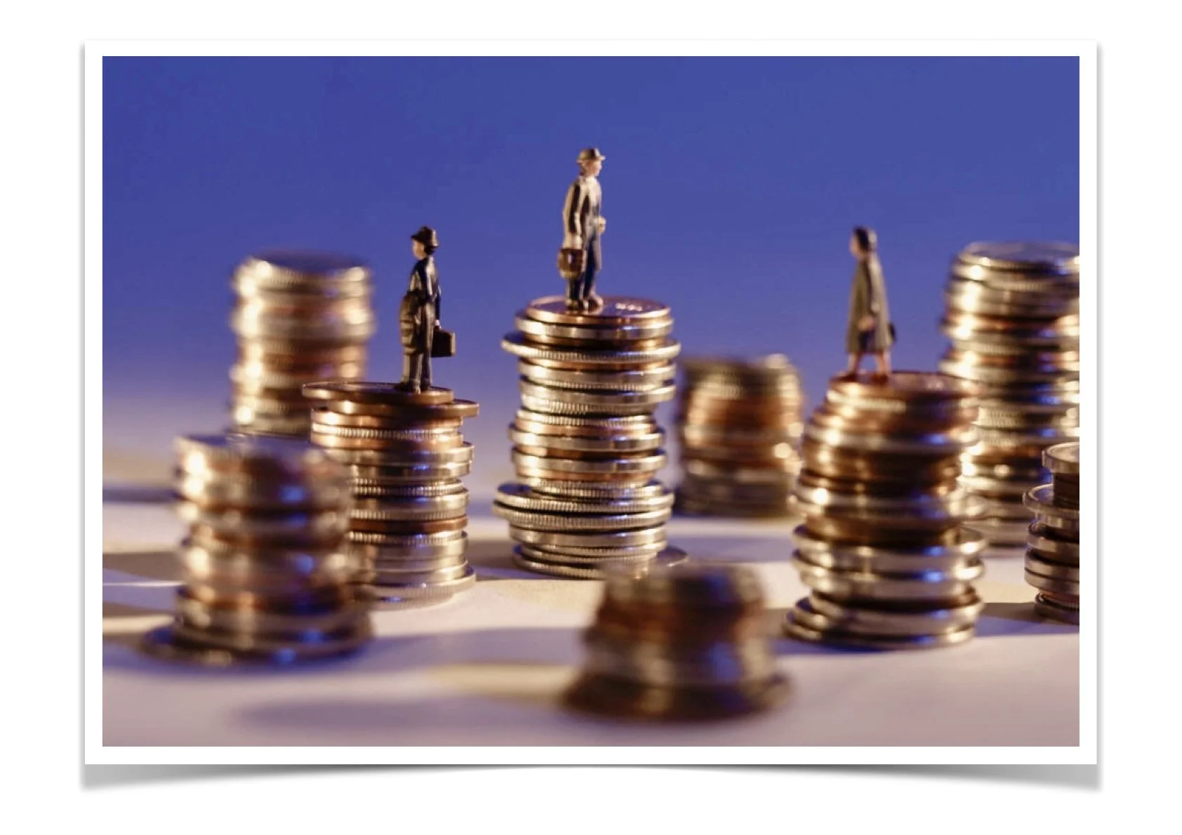 Plucking Geese & Shearing Sheep