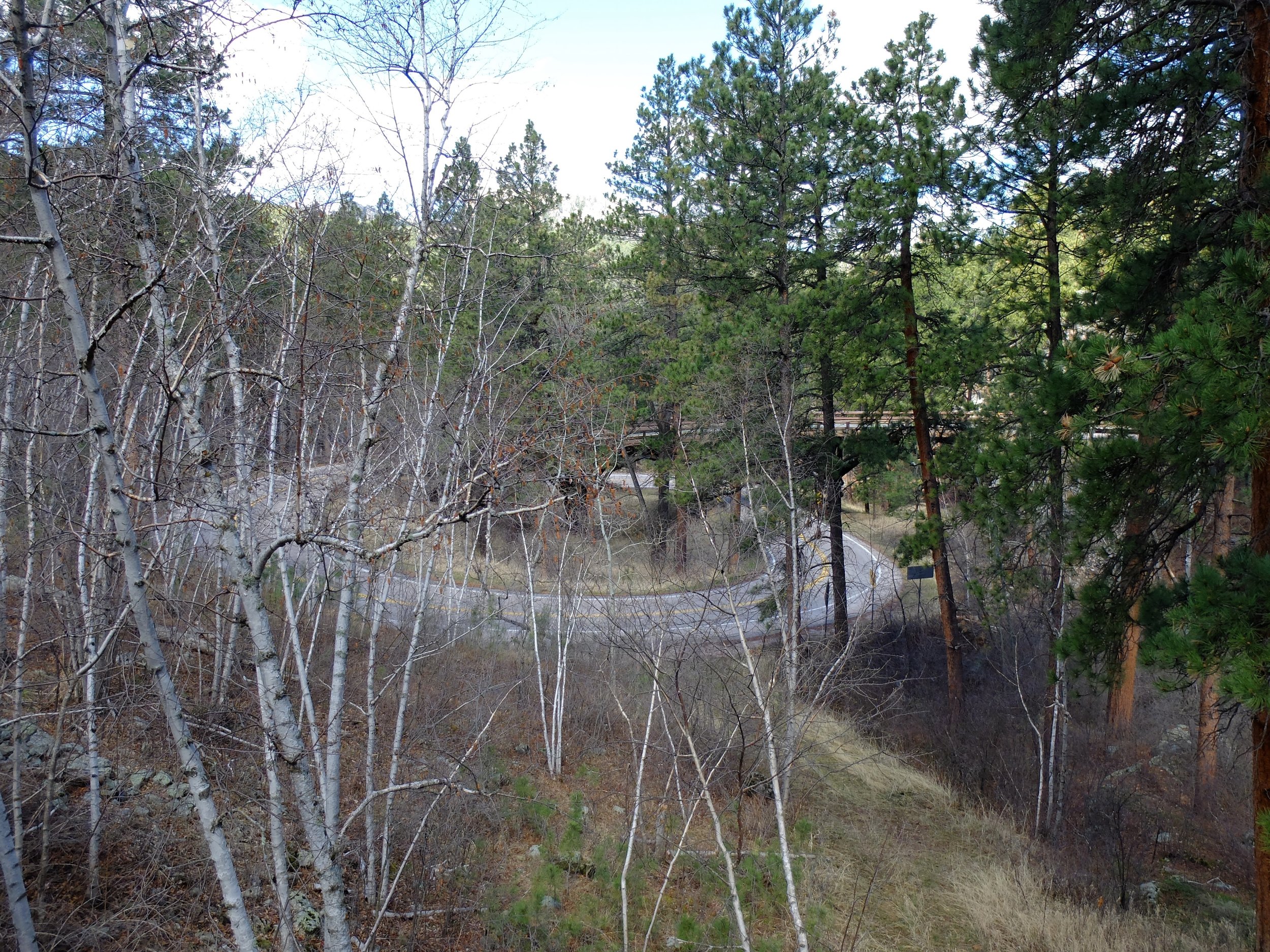 Pigs Tail Tunnel @ Iron Mountain Pass | 29 April 2024