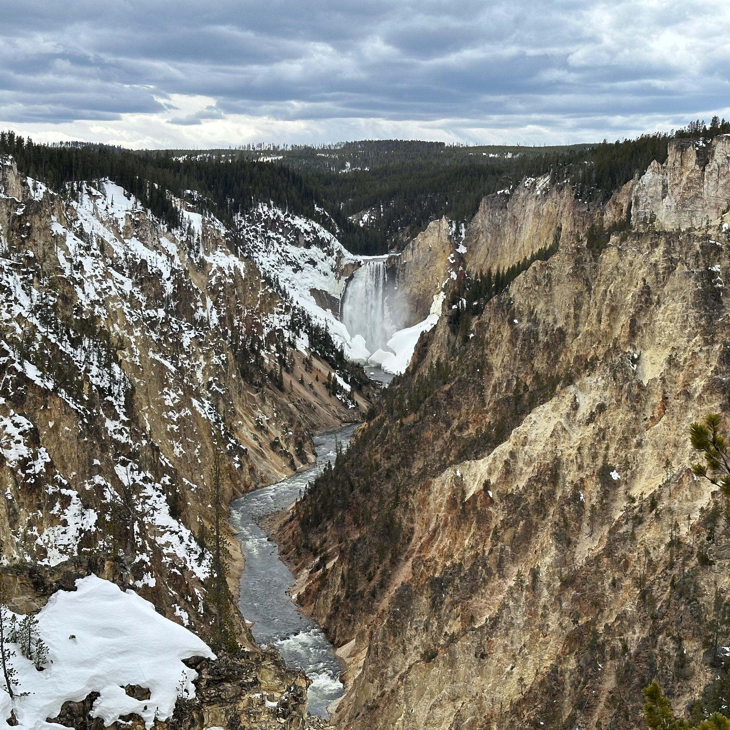 Yellowstone Falls | 21 April 2024