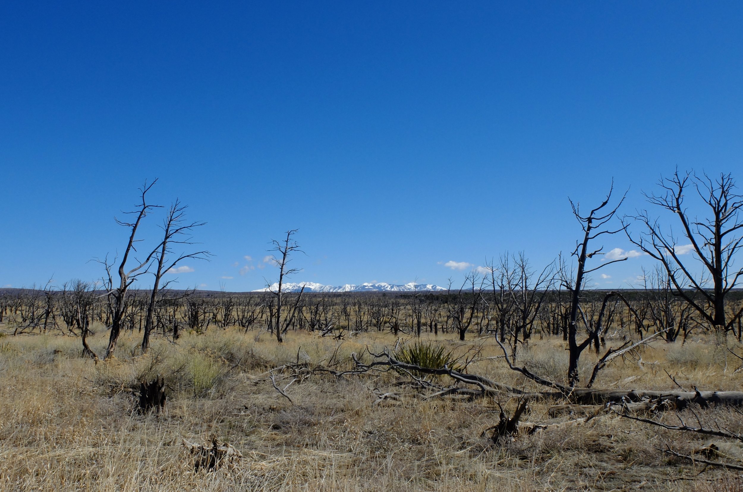 Mesa Verde National Park | 21 March 2024