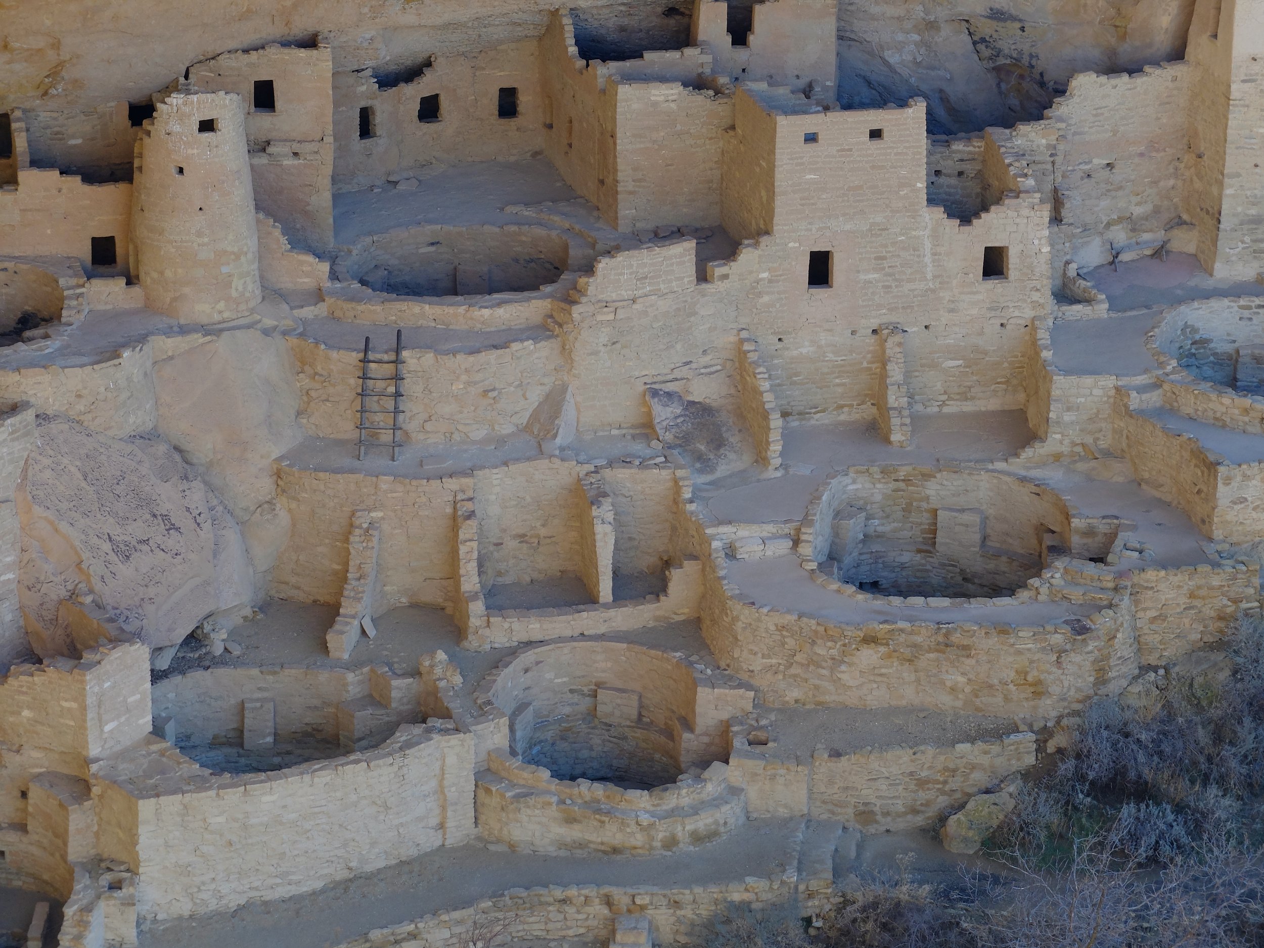 Cliff Palace | 21 March 2024