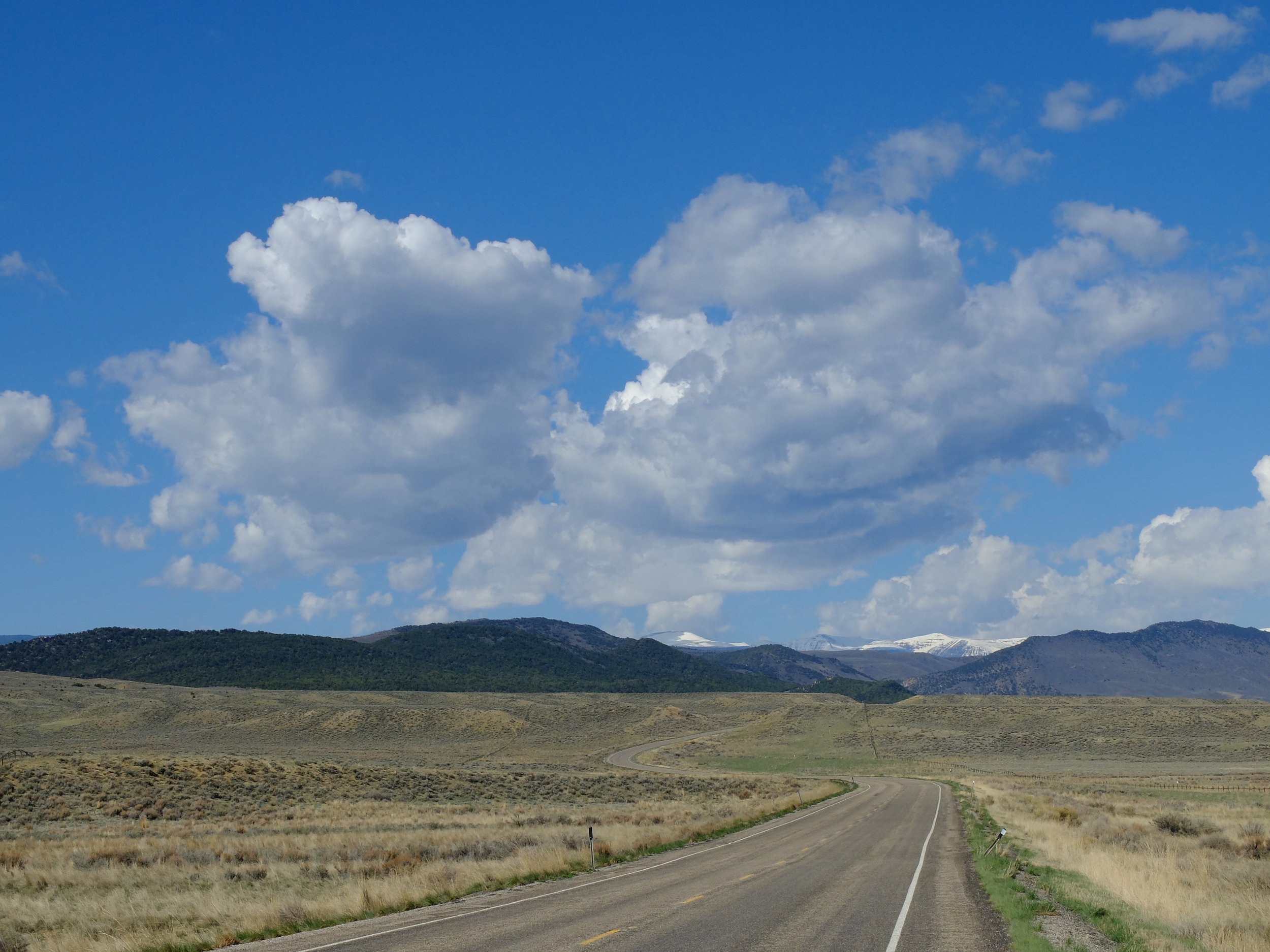 Highway 40 @ Dinosaur | 24 April 2024