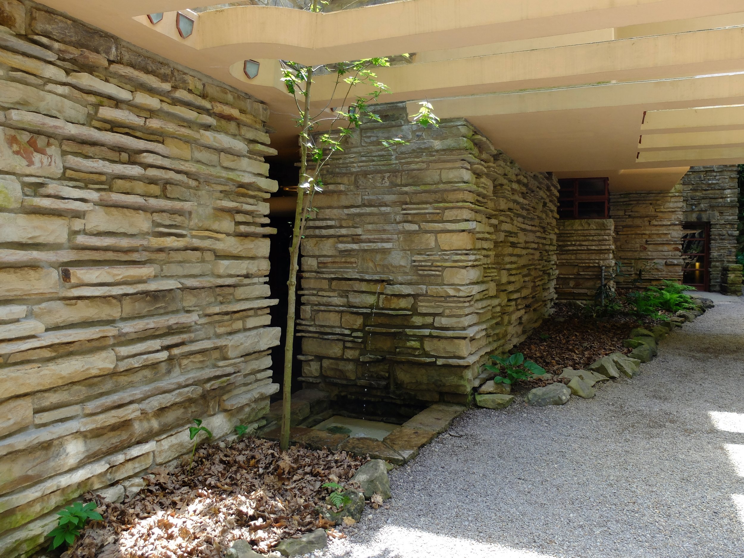 Design Inspiration for Fallingwater | 21 May 2024