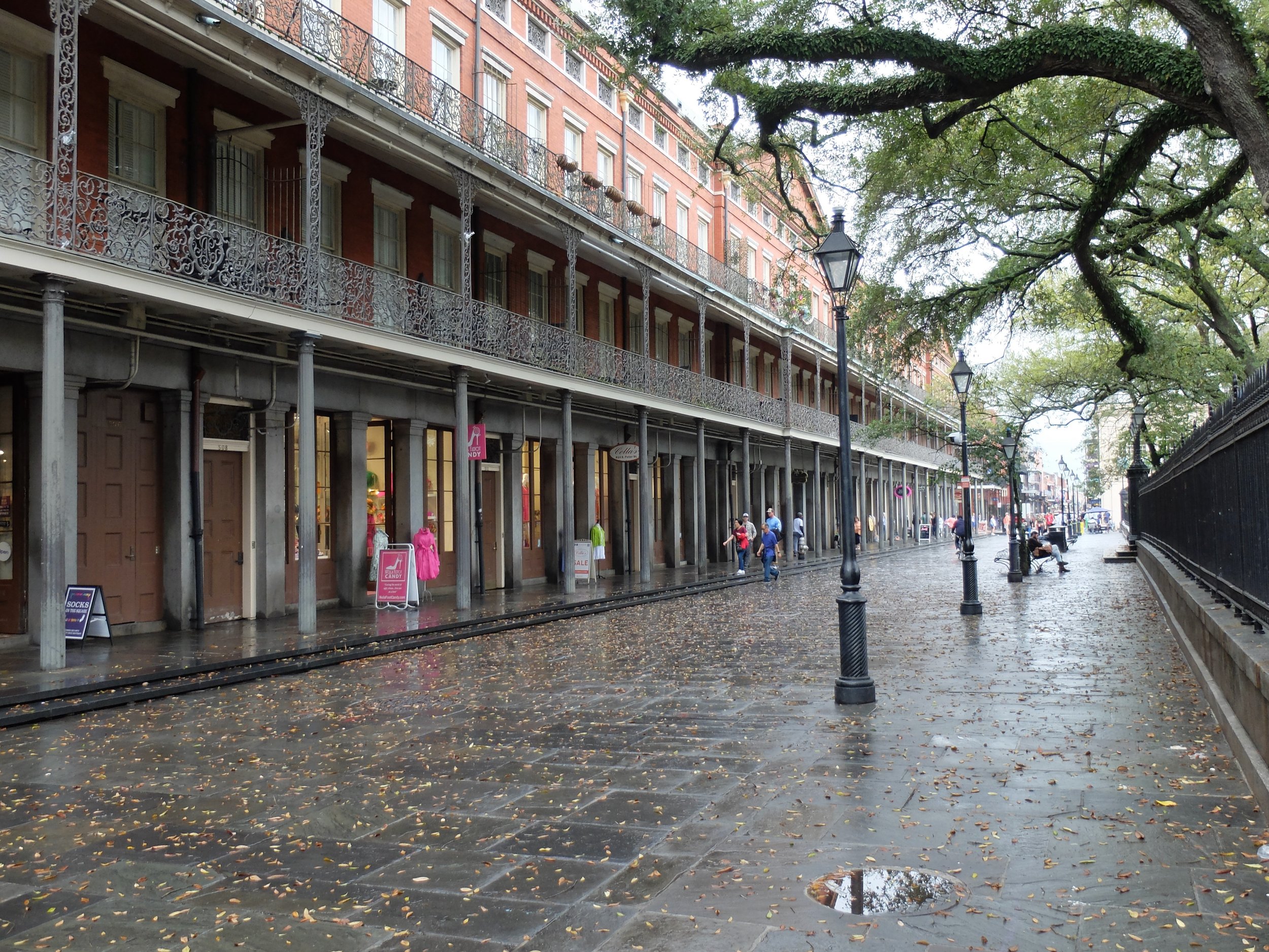 Jackson Square - 08 March 2024