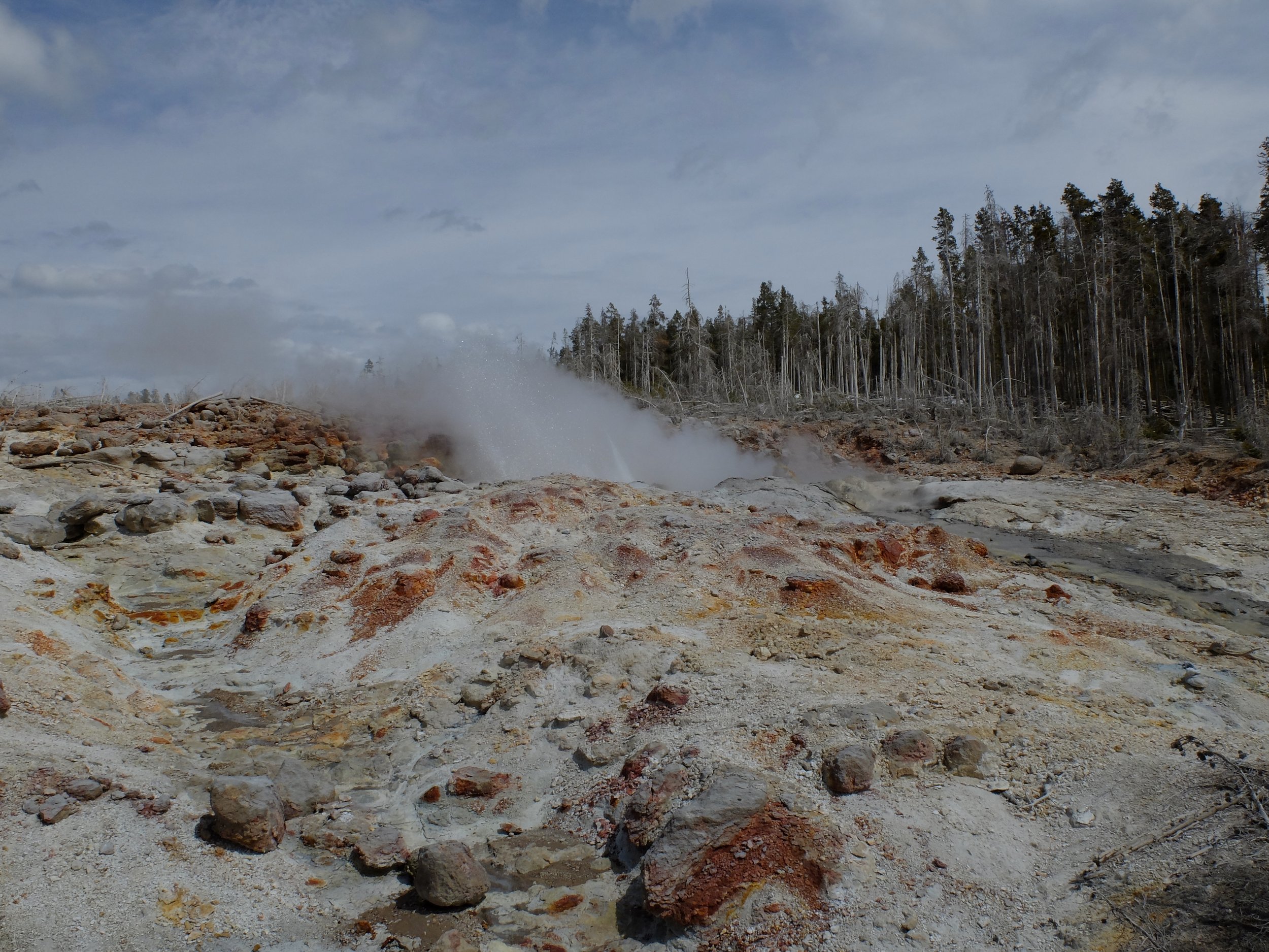 Norris Geyser Basin | 21 April 2024