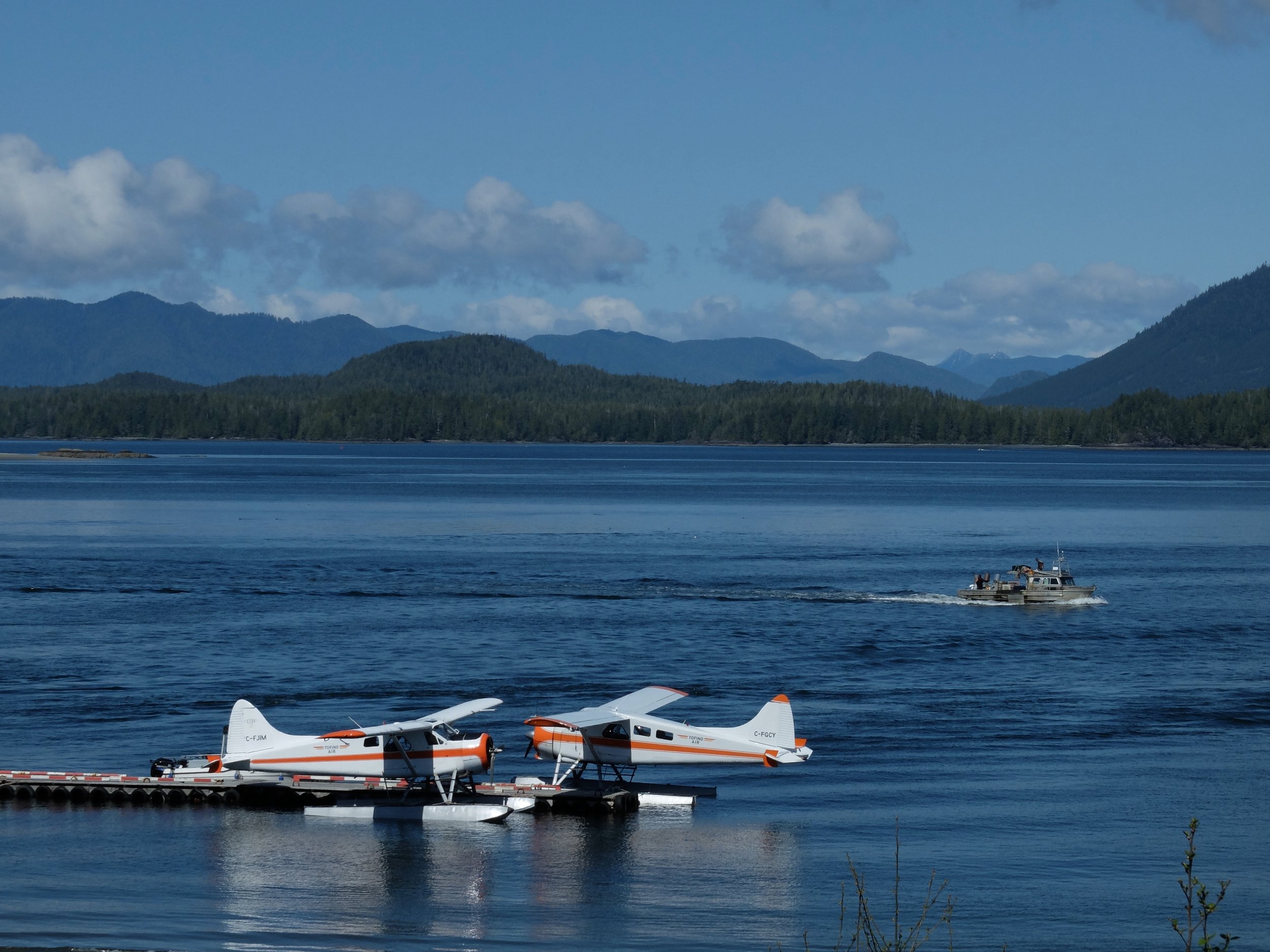 Tofino Harbour | 12 April 2024