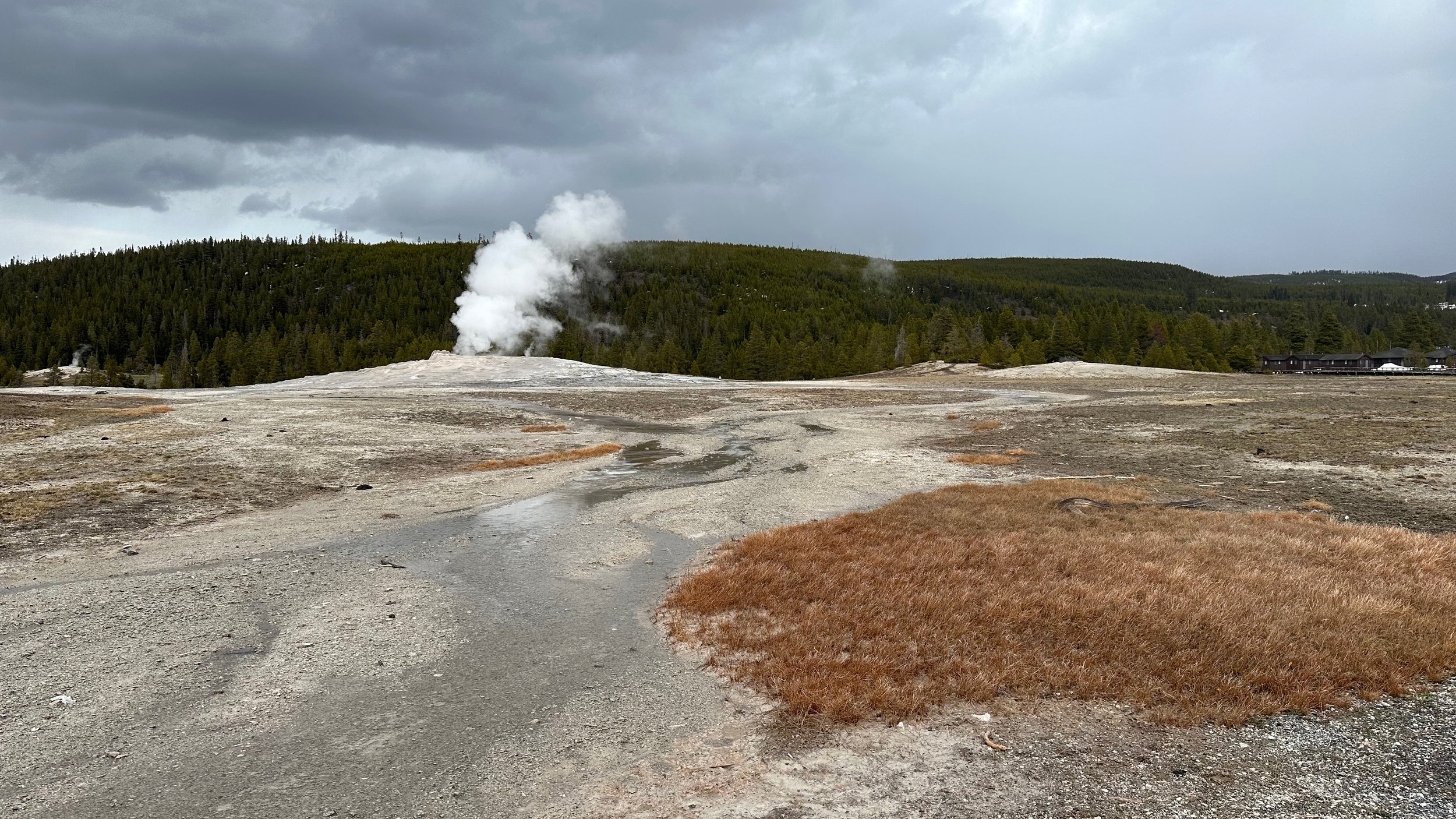 Old Faithfull Geyser | 21 April 2024