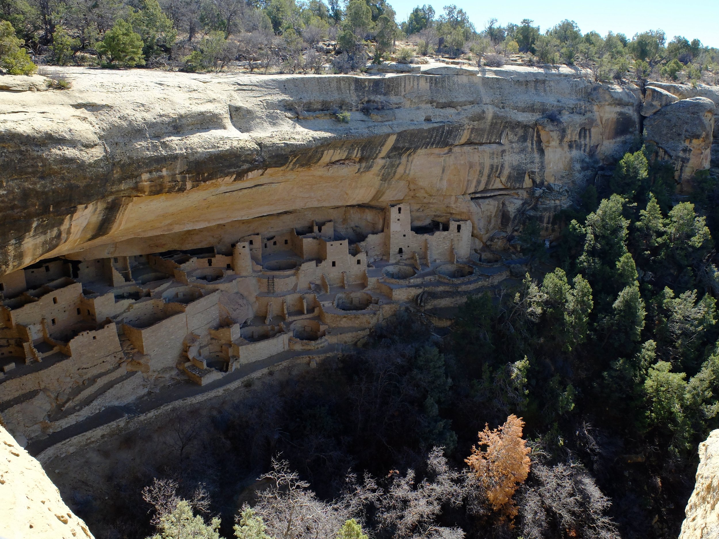 Cliff Palace | 21 March 2024