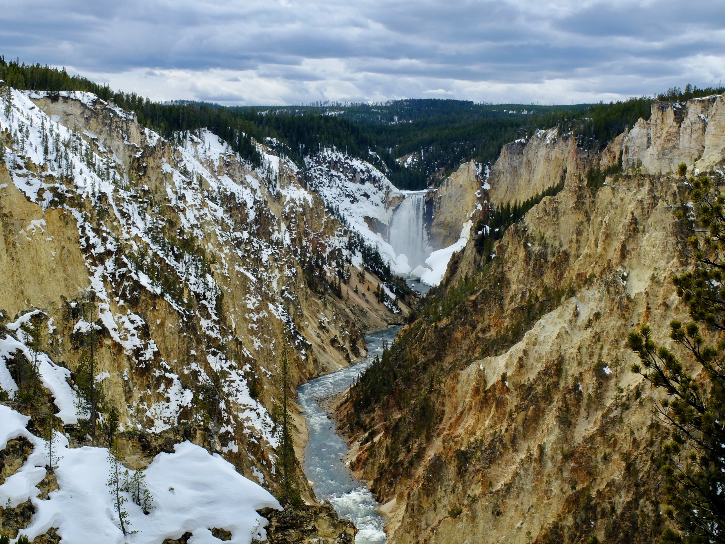 Yellowstone Falls | 21 April 2024
