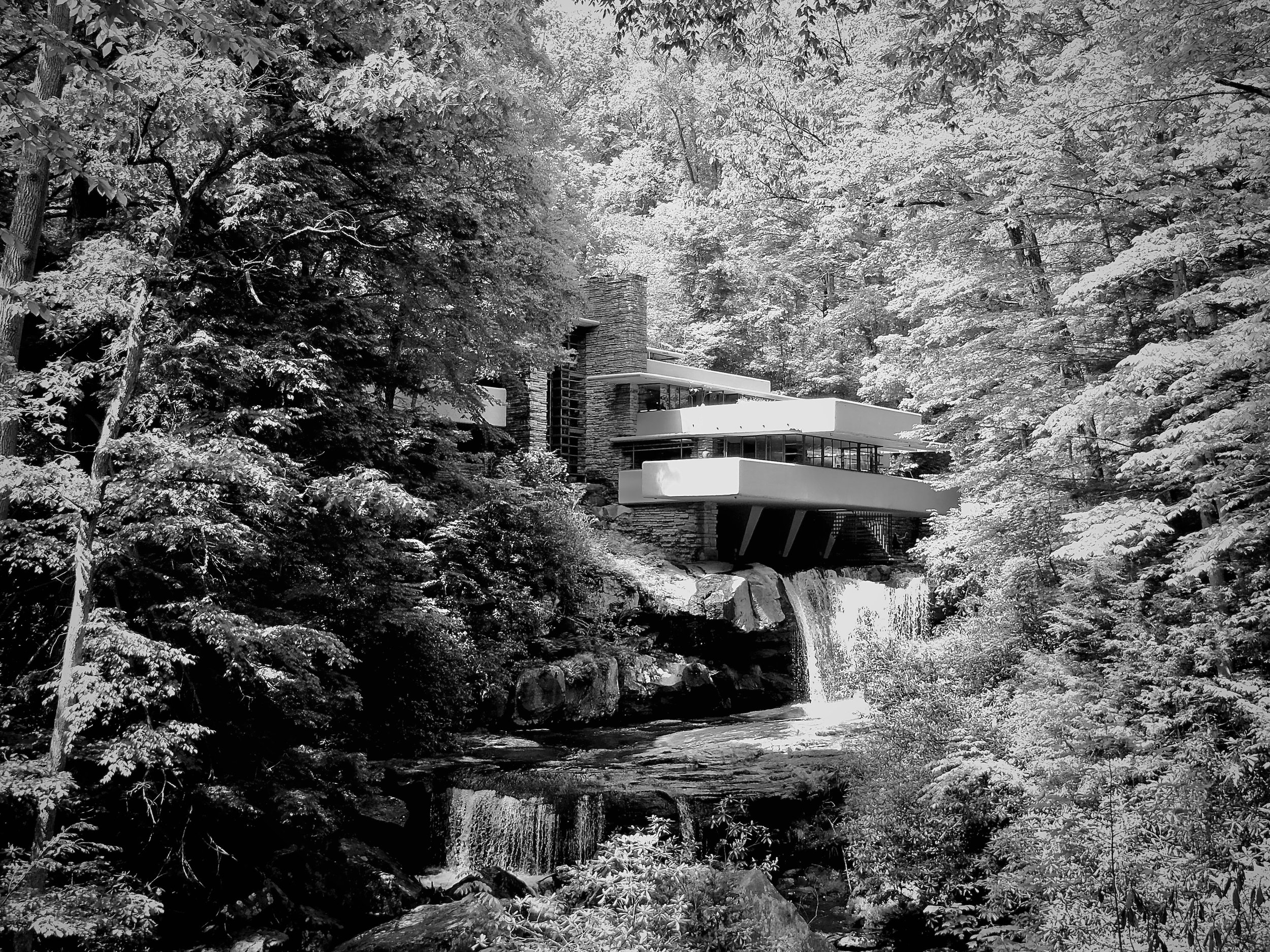Fallingwater | 21 May 2024