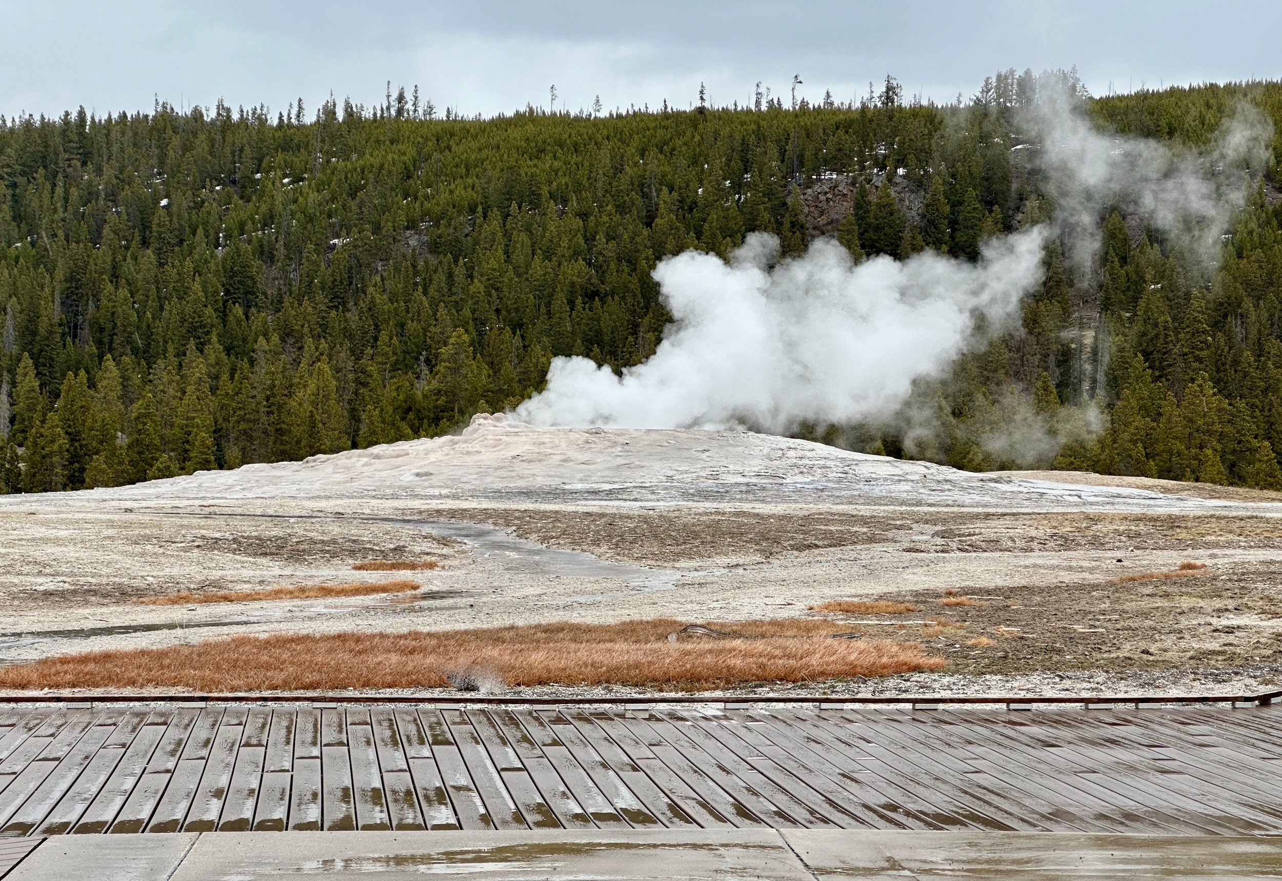 Old Faithfull Geyser | 21 April 2024