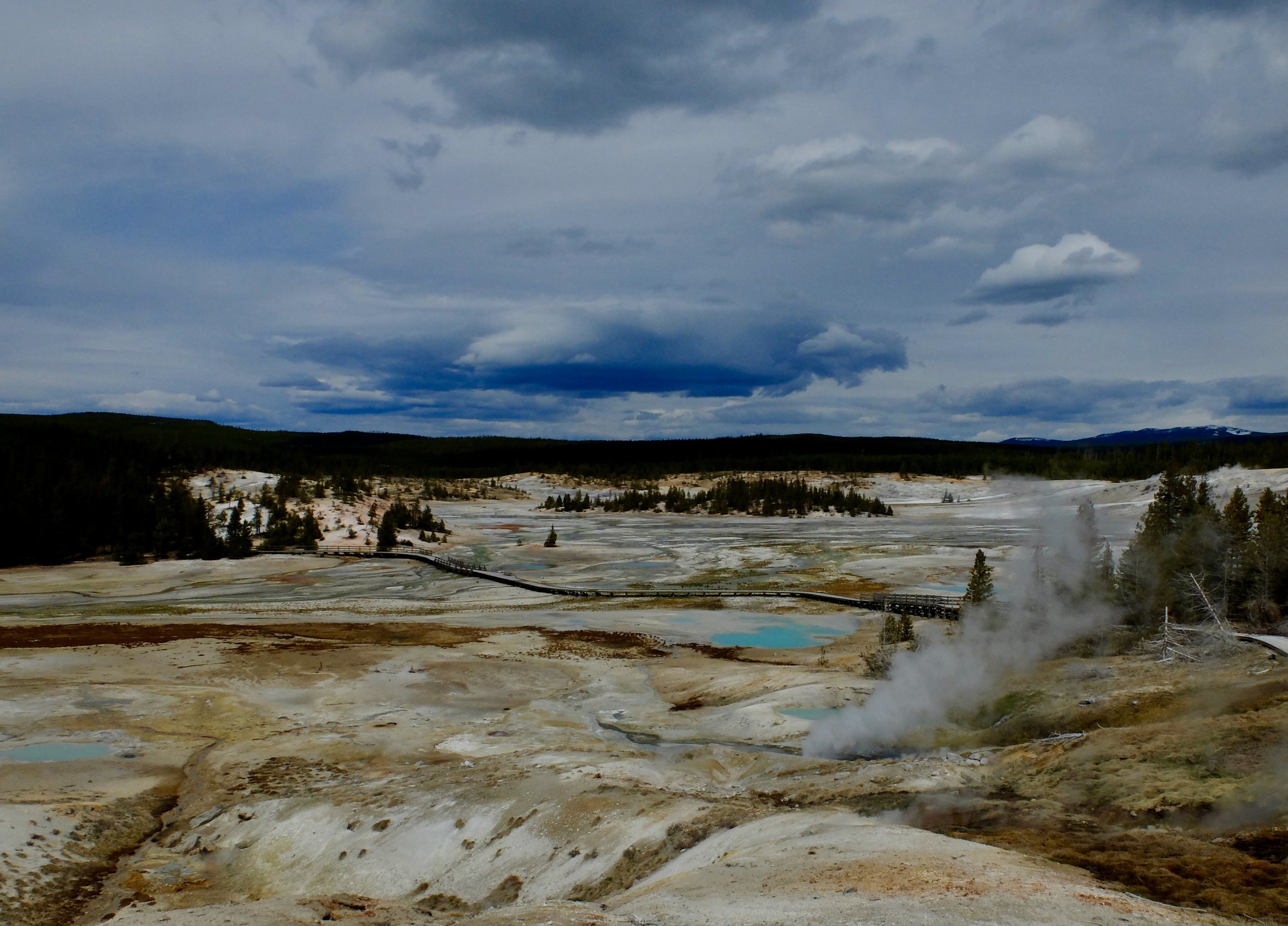 Norris Geyser Basin | 21 April 2024