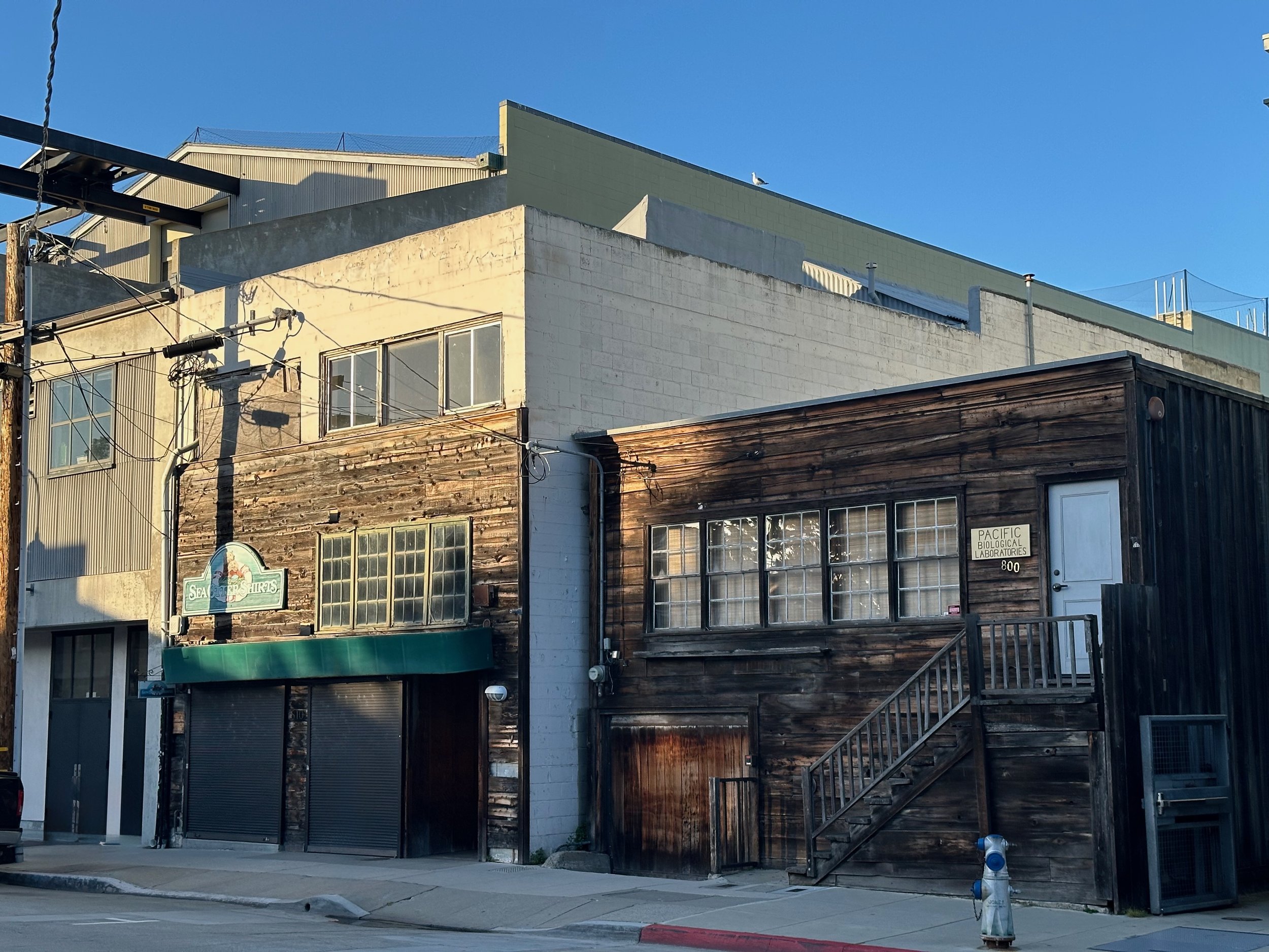 800 Ocean View Avenue, Monterey - Home & Laboratory of 'Doc' from Cannery Row | 01 April 2024