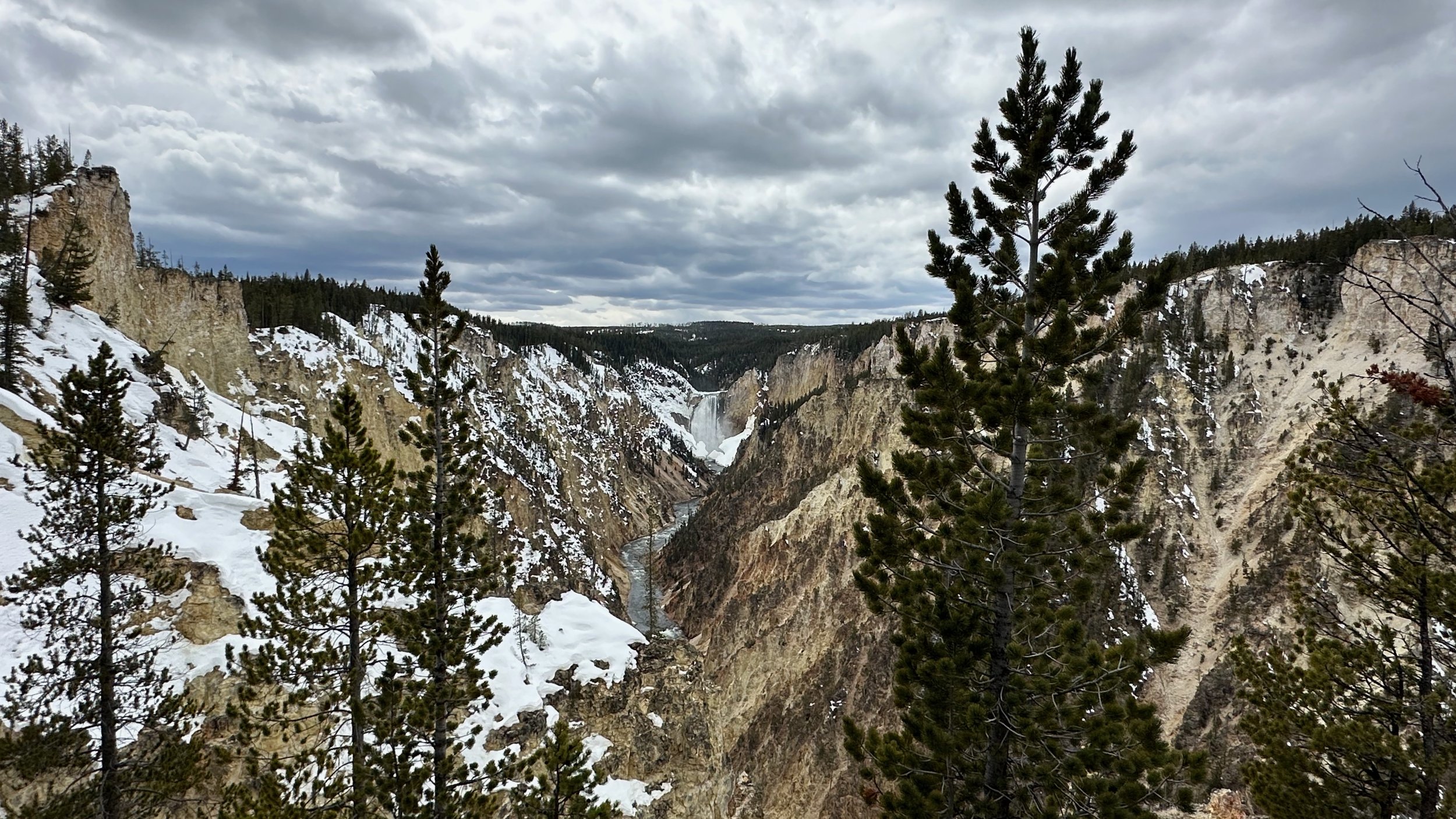 Yellowstone Falls | 21 April 2024