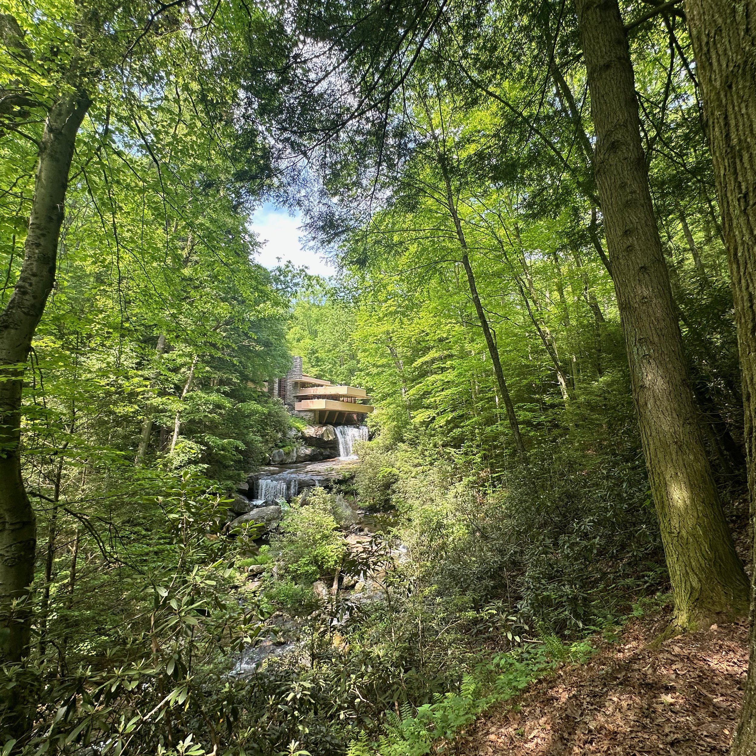 Fallingwater | 21 May 2024
