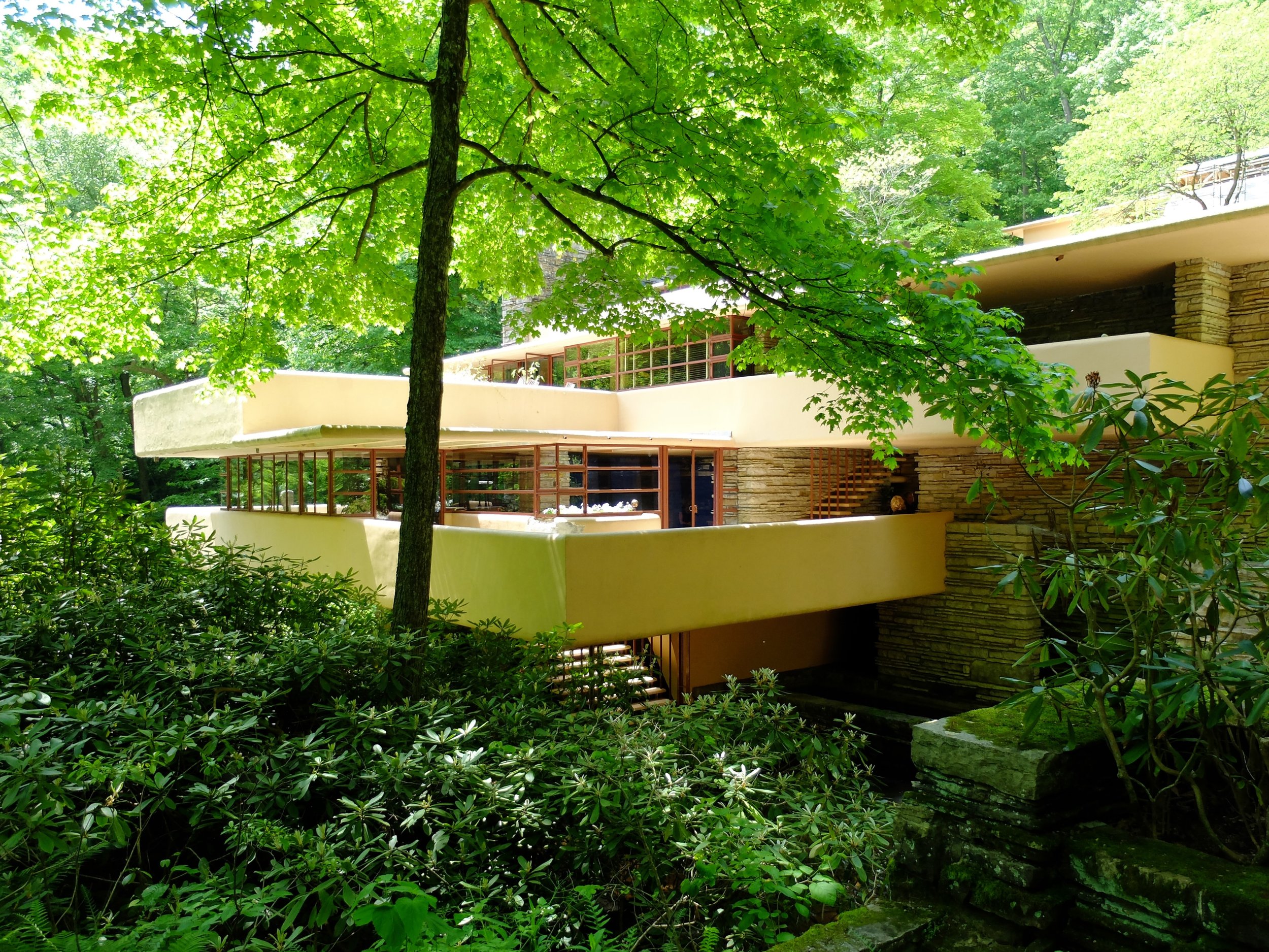 Fallingwater | 21 May 2024