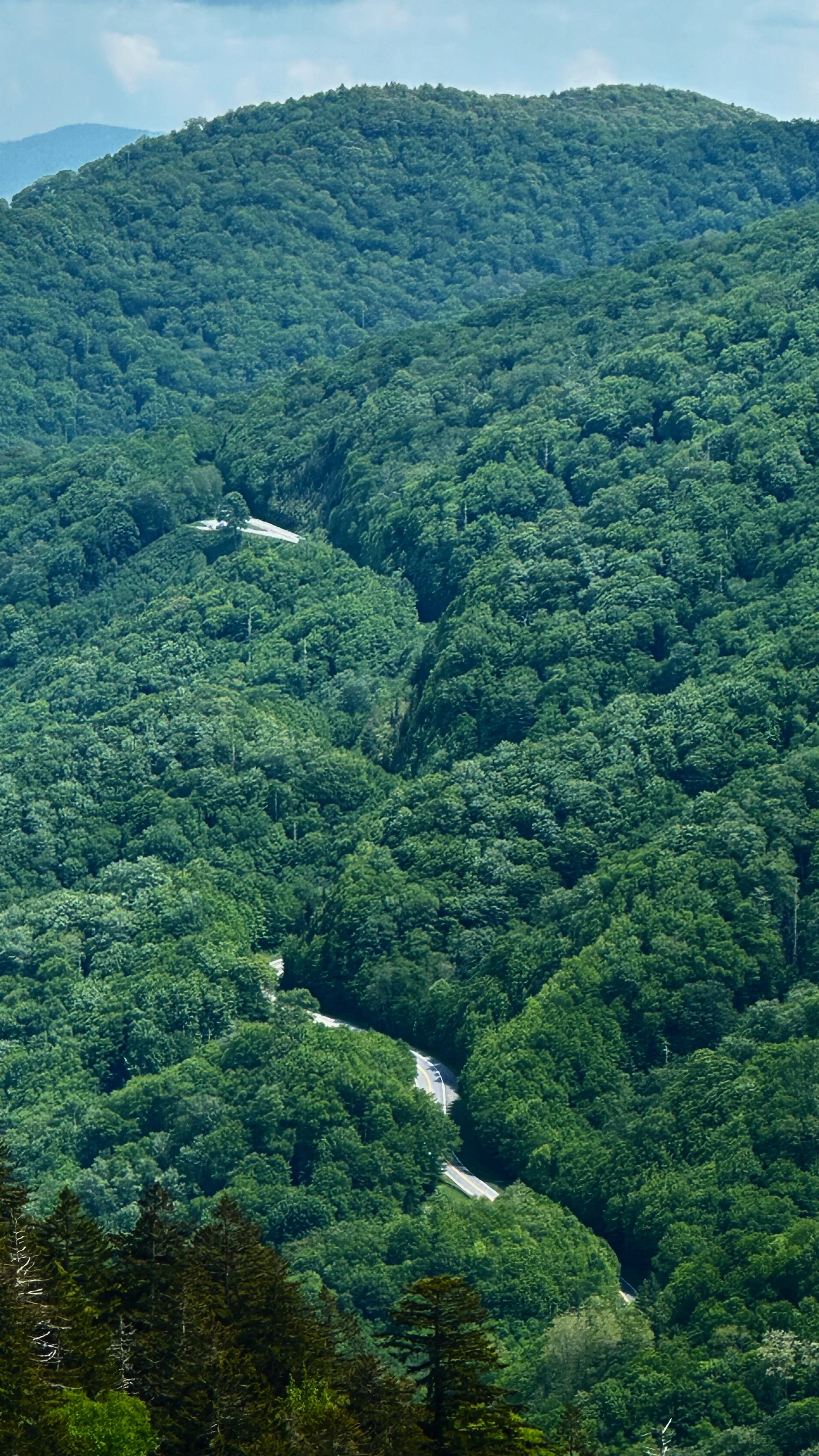 Great Smokey Mountains | 24 May 2024