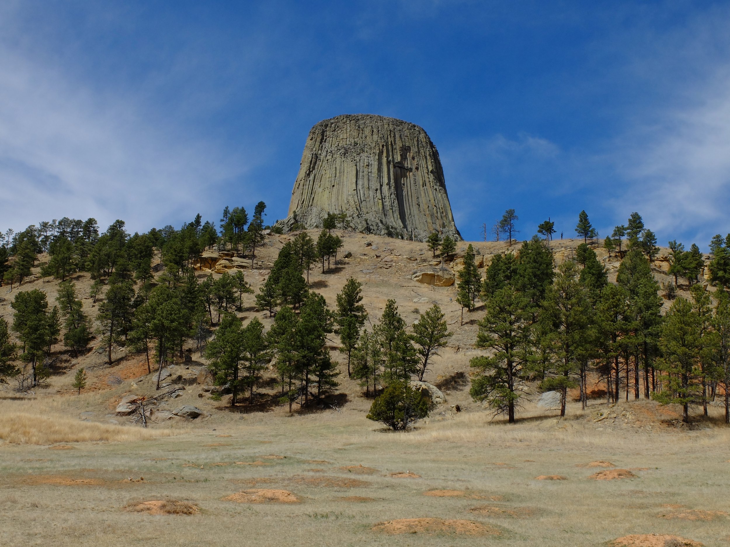 The Devils Tower | 28 April 2024
