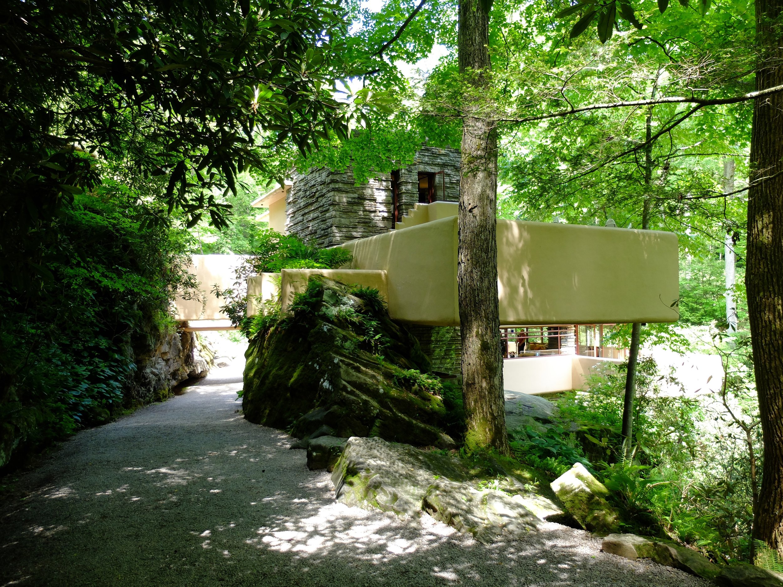 Fallingwater | 21 May 2024