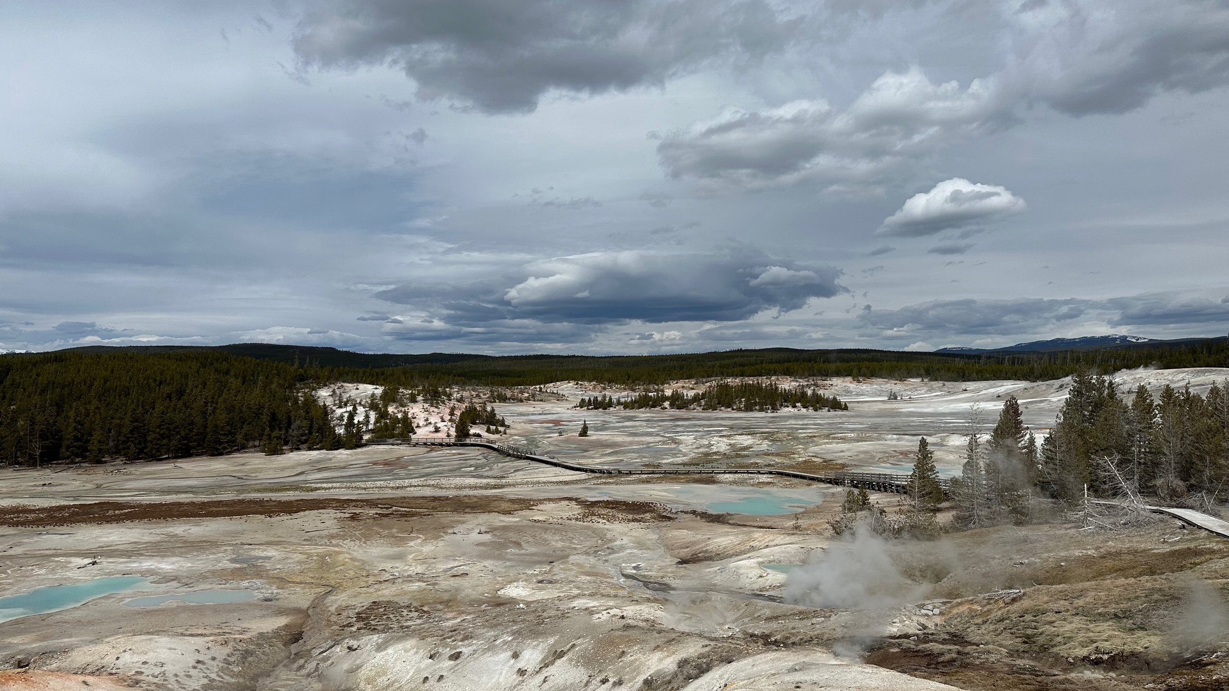 Norris Geyser Basin | 21 April 2024