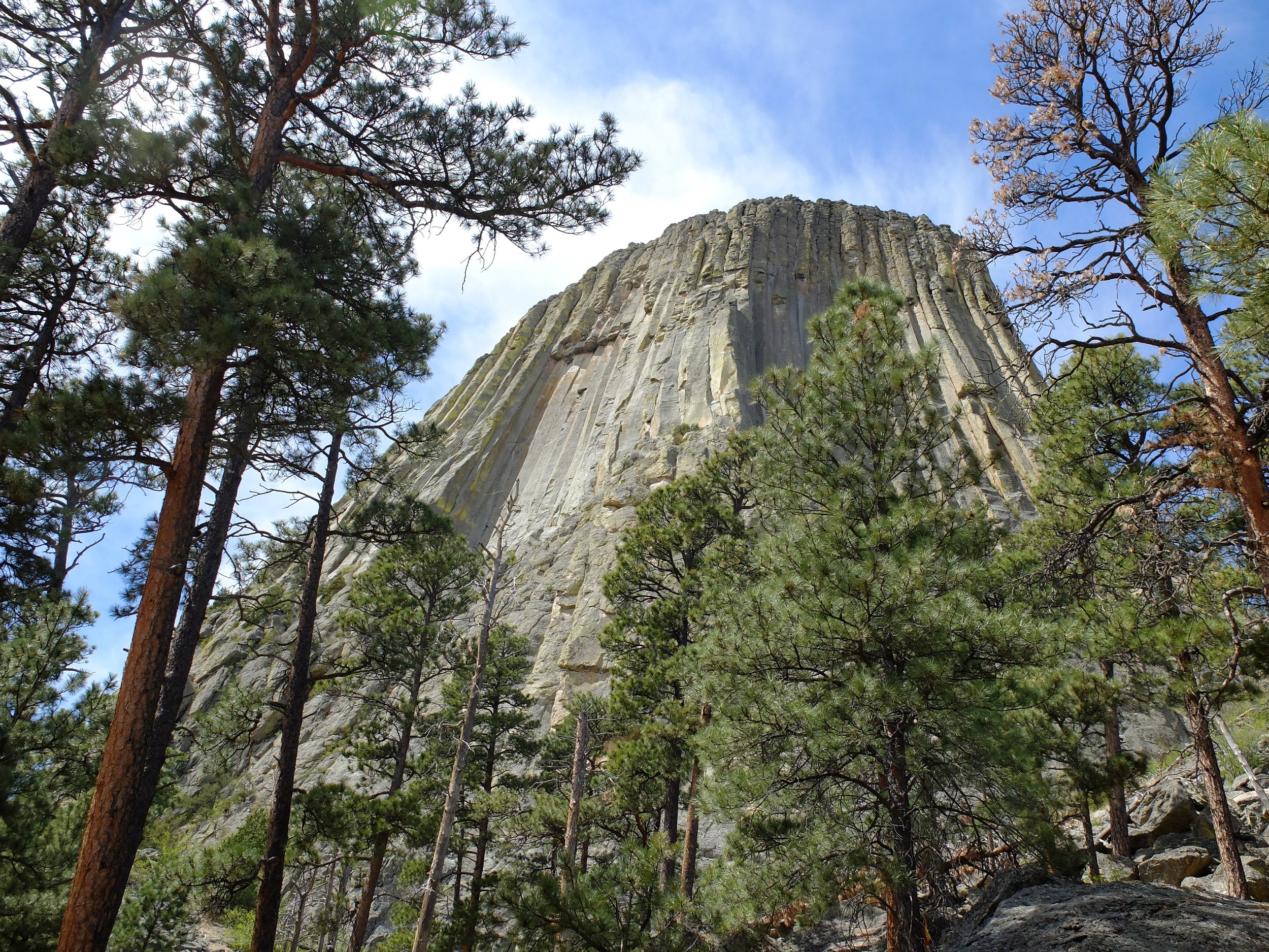 The Devils Tower | 28 April 2024