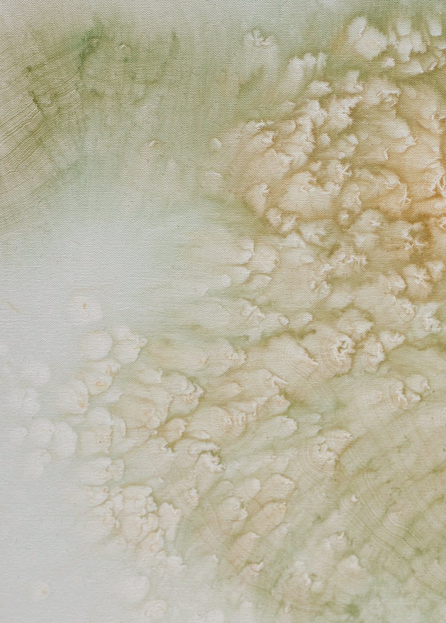 5680-Beair_No_Decembre-2025-BR-art-scale-1_00x (1).jpg