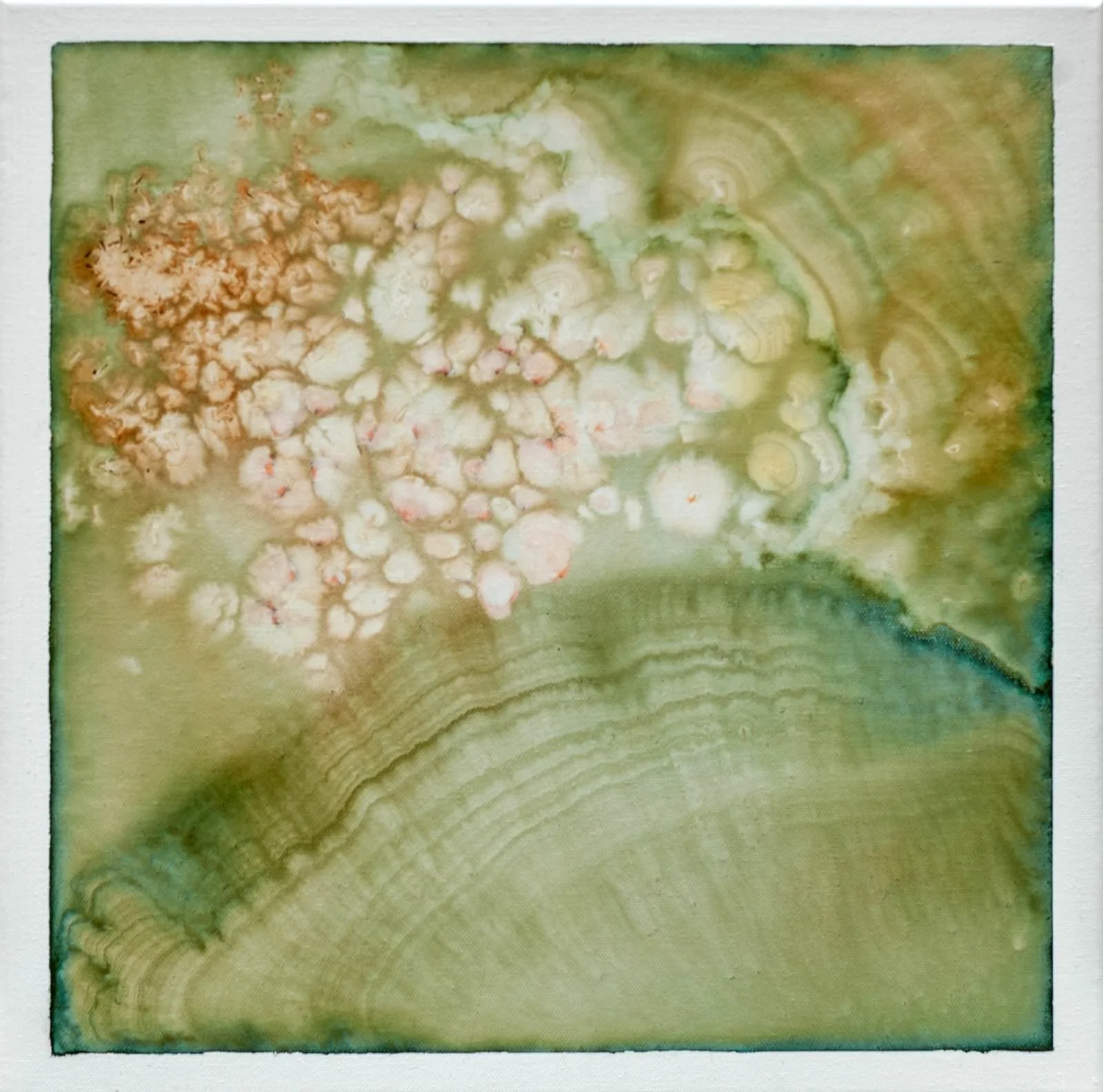 5689-Beair_No_Decembre-2025 copy 2.jpg