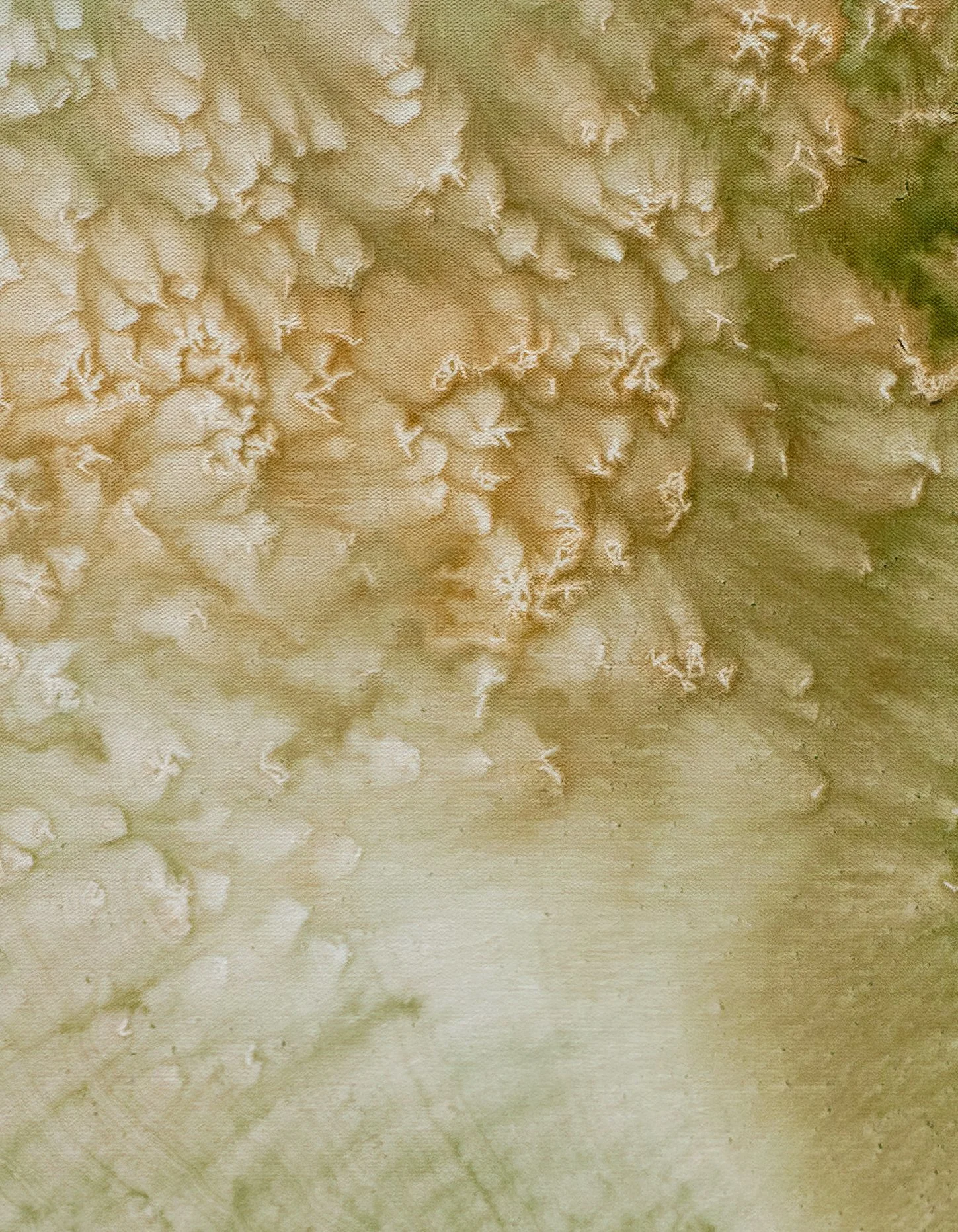 5680-Beair_No_Decembre-2025-BR-art-scale-1_00x (1) copy.jpg