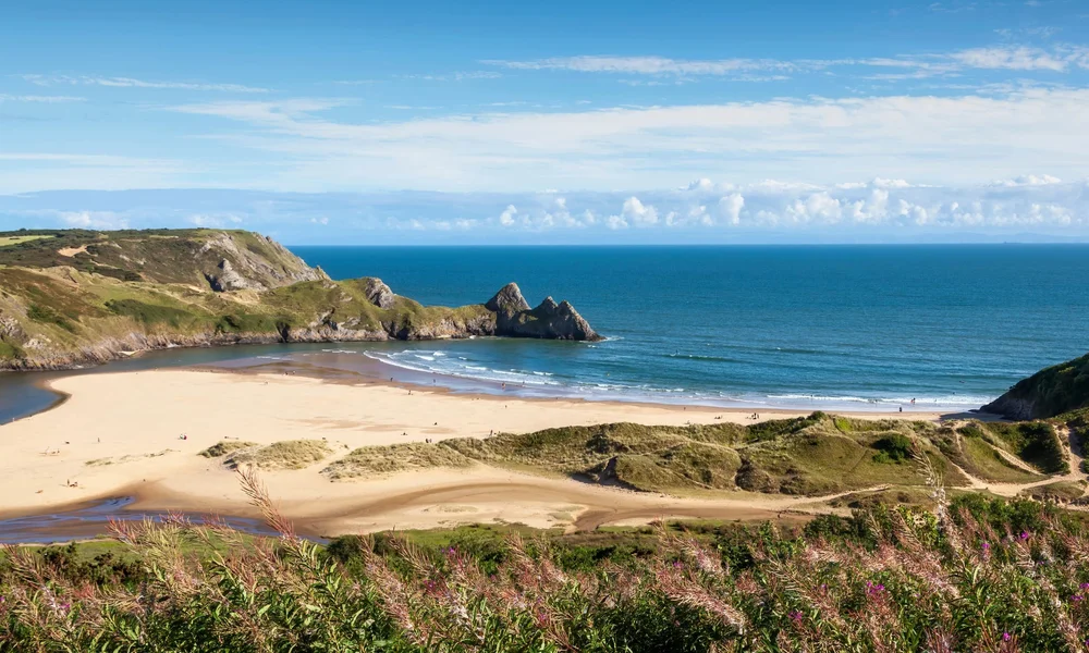 Gower Chiropractic Centre