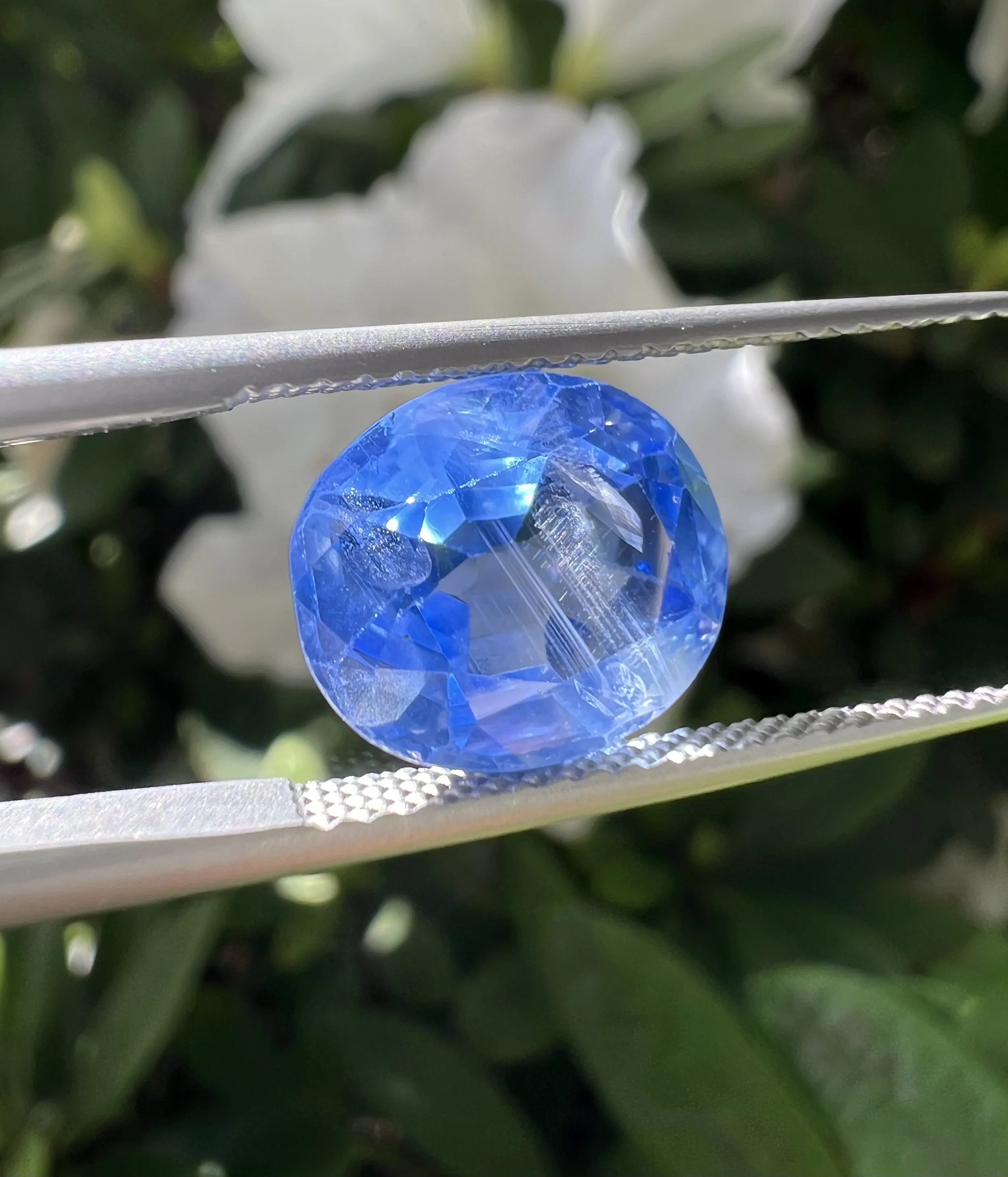 4.5ct No-Heat Cornflower Blue Sapphire