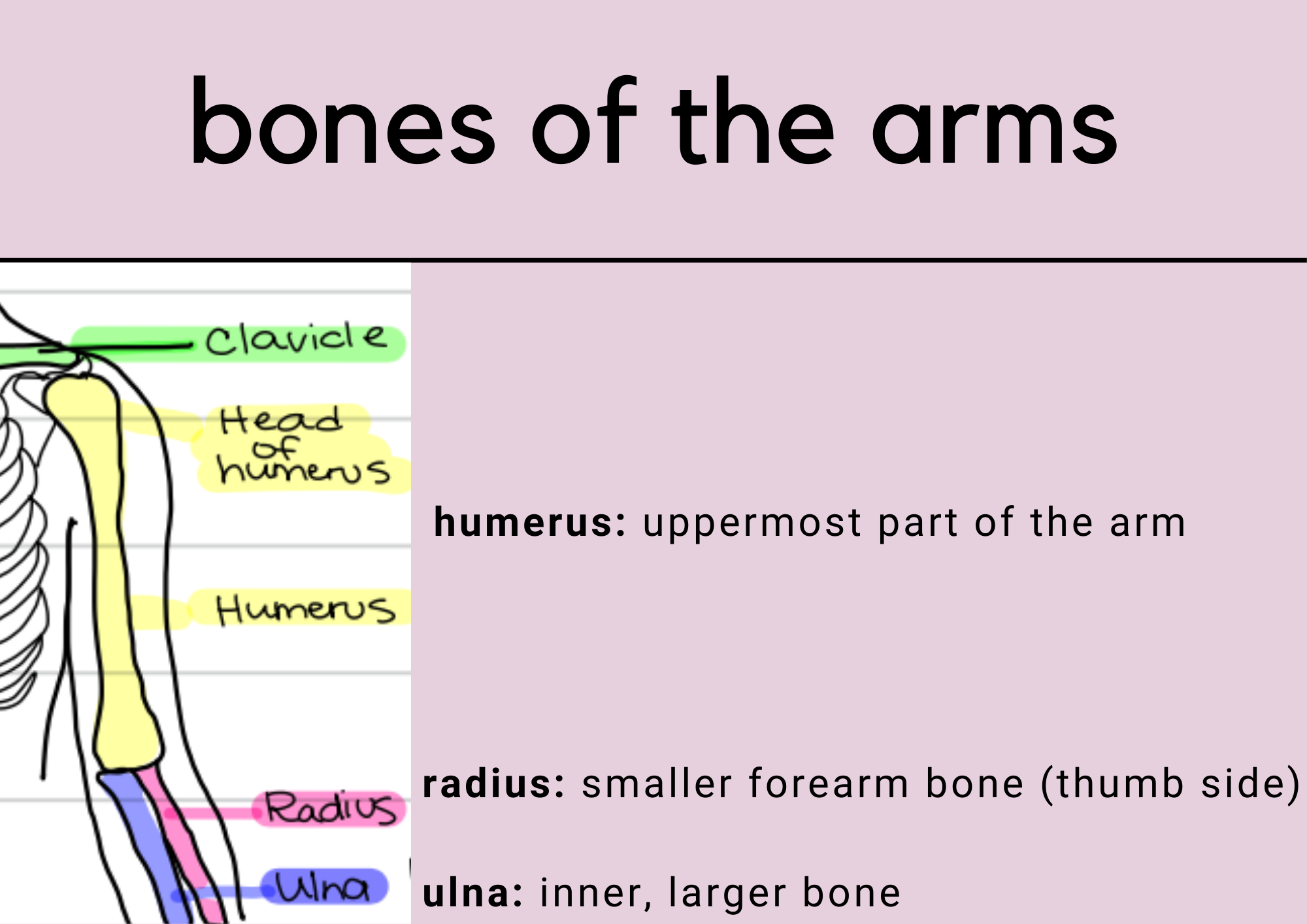43.png