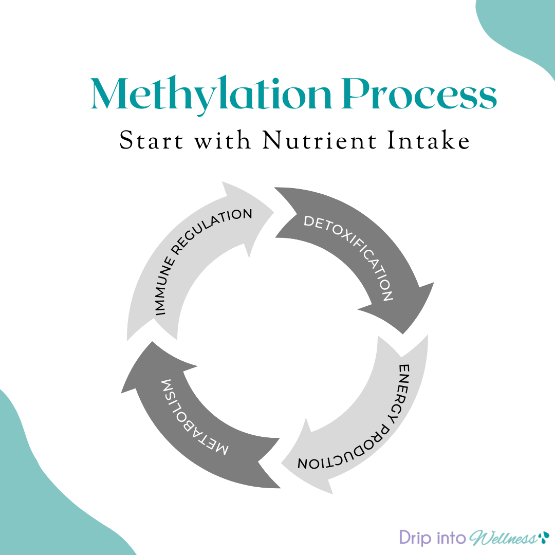 Genetic Methylation testing 