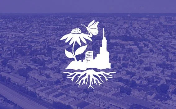 EJ Response to Condemn Alder Violence