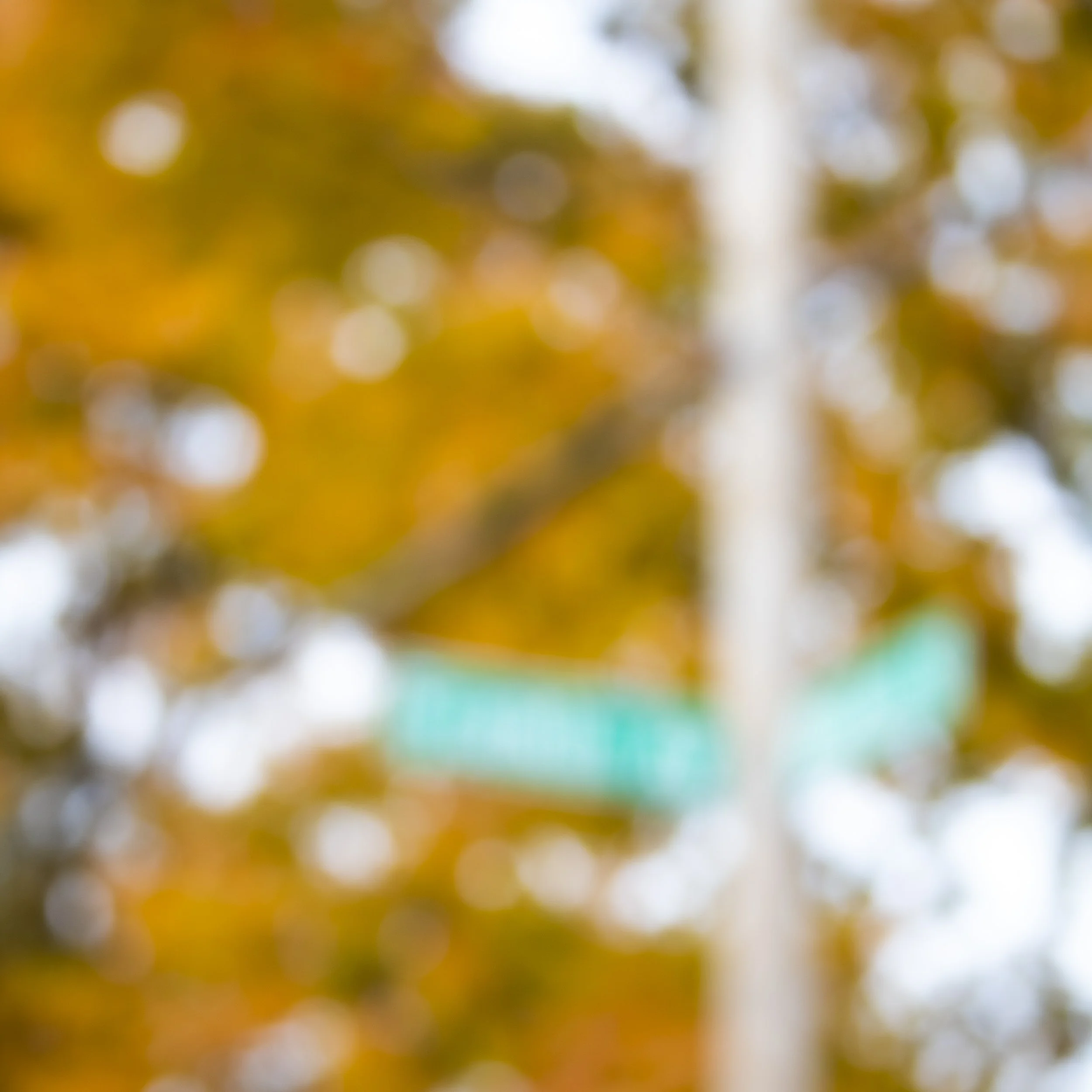 Street_Sign.jpg