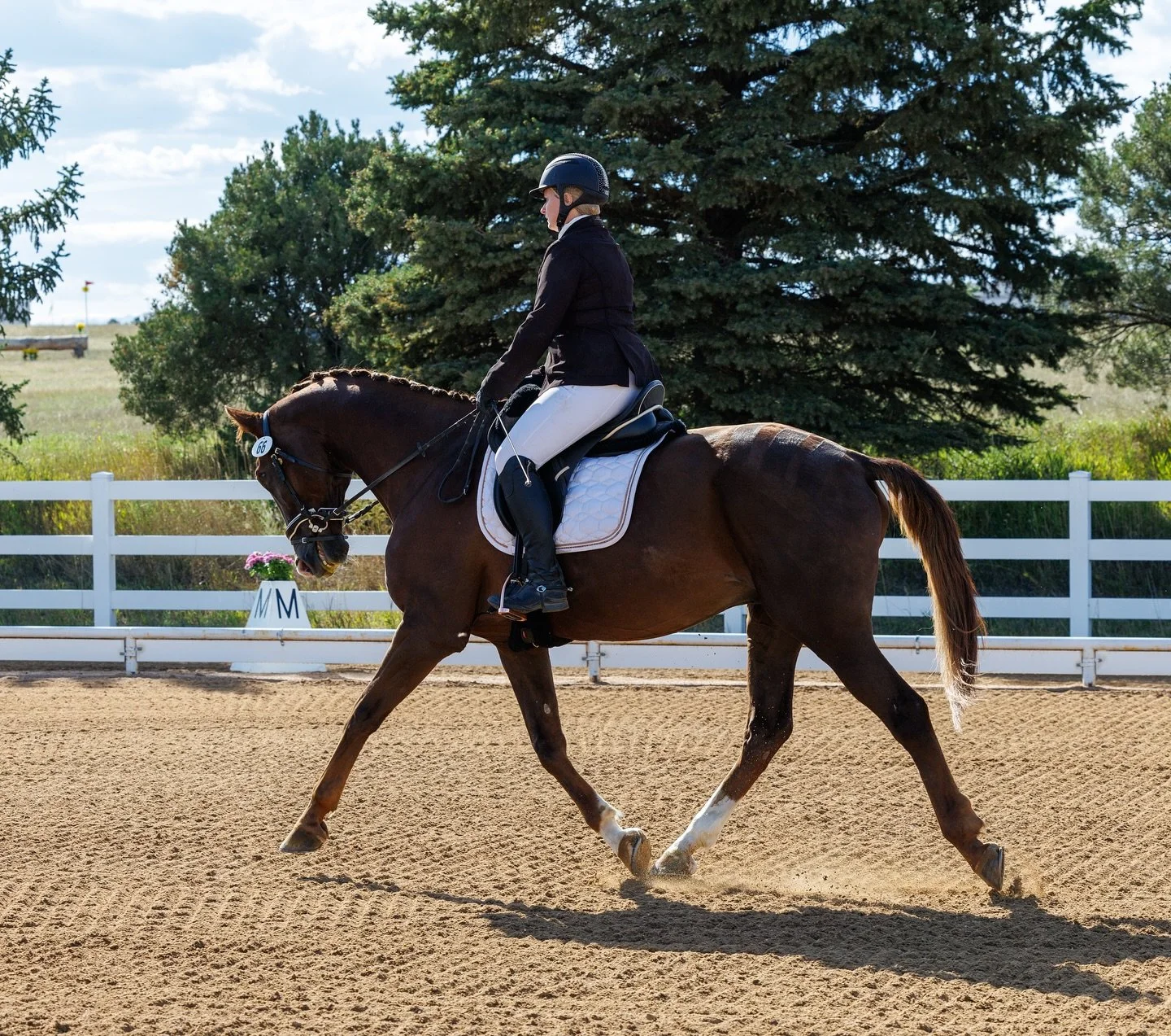 Building this partnership over the last few months has been incredibly meaningful, and I&rsquo;m so excited for all that&rsquo;s to come with the beautiful Eros.

Featuring my custom County Perfection Dressage Saddle &mdash; the saddle that truly tra