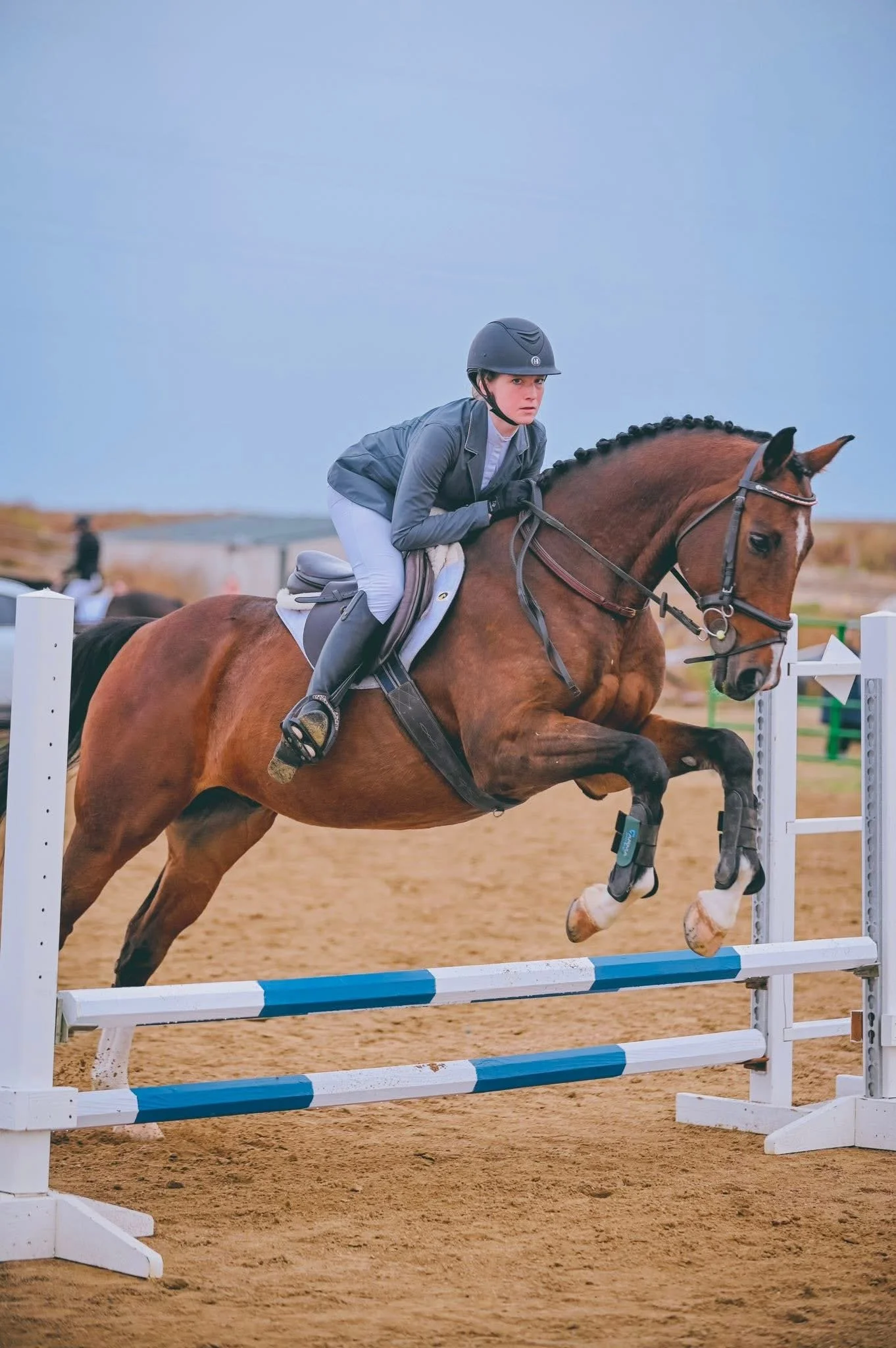 Cambridge a horse for lease in Colorado  