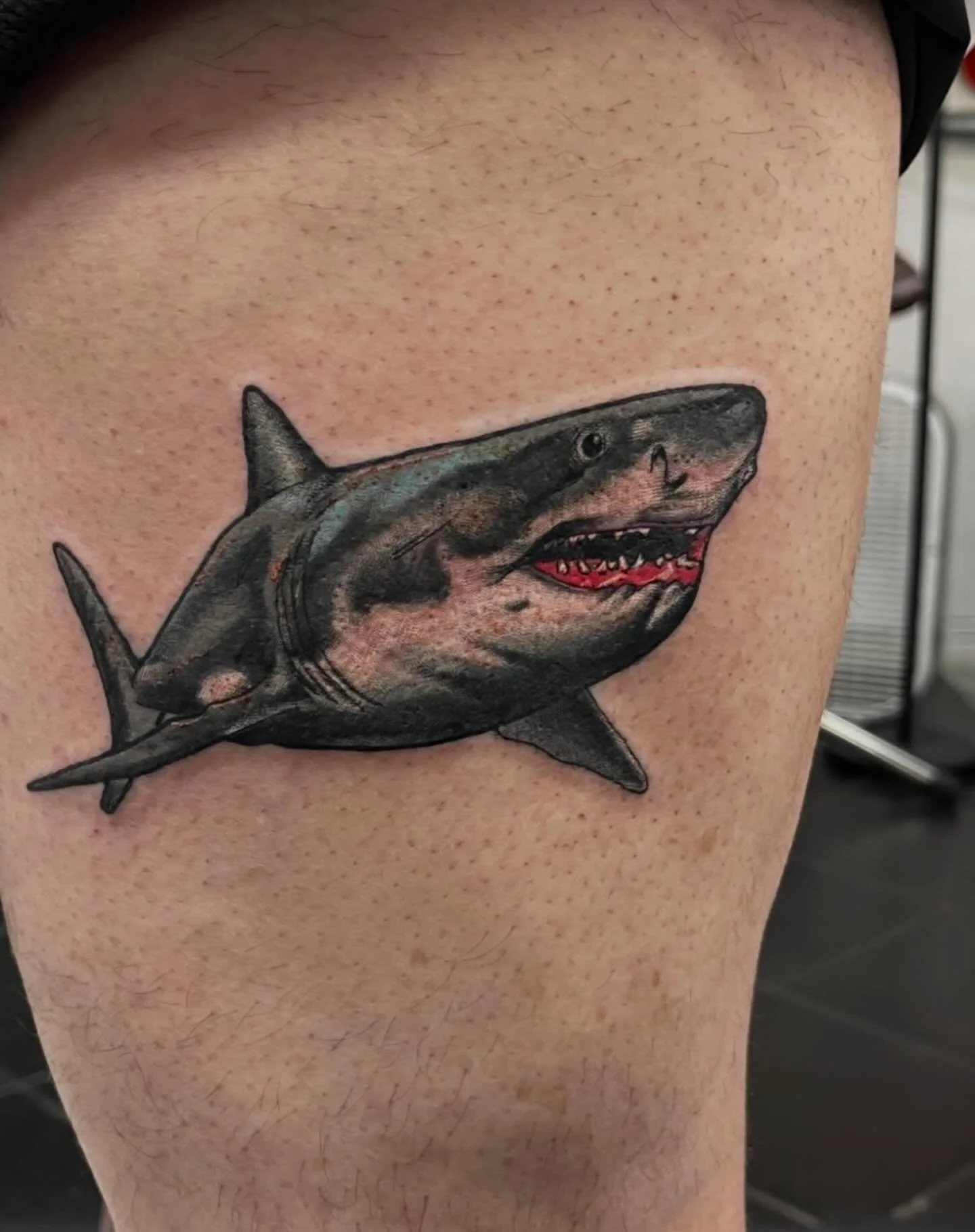 Sink your teeth into something bold 🦈
Fresh shark tattoo done by @jayson893! Walk ins welcome every day 12-8PM