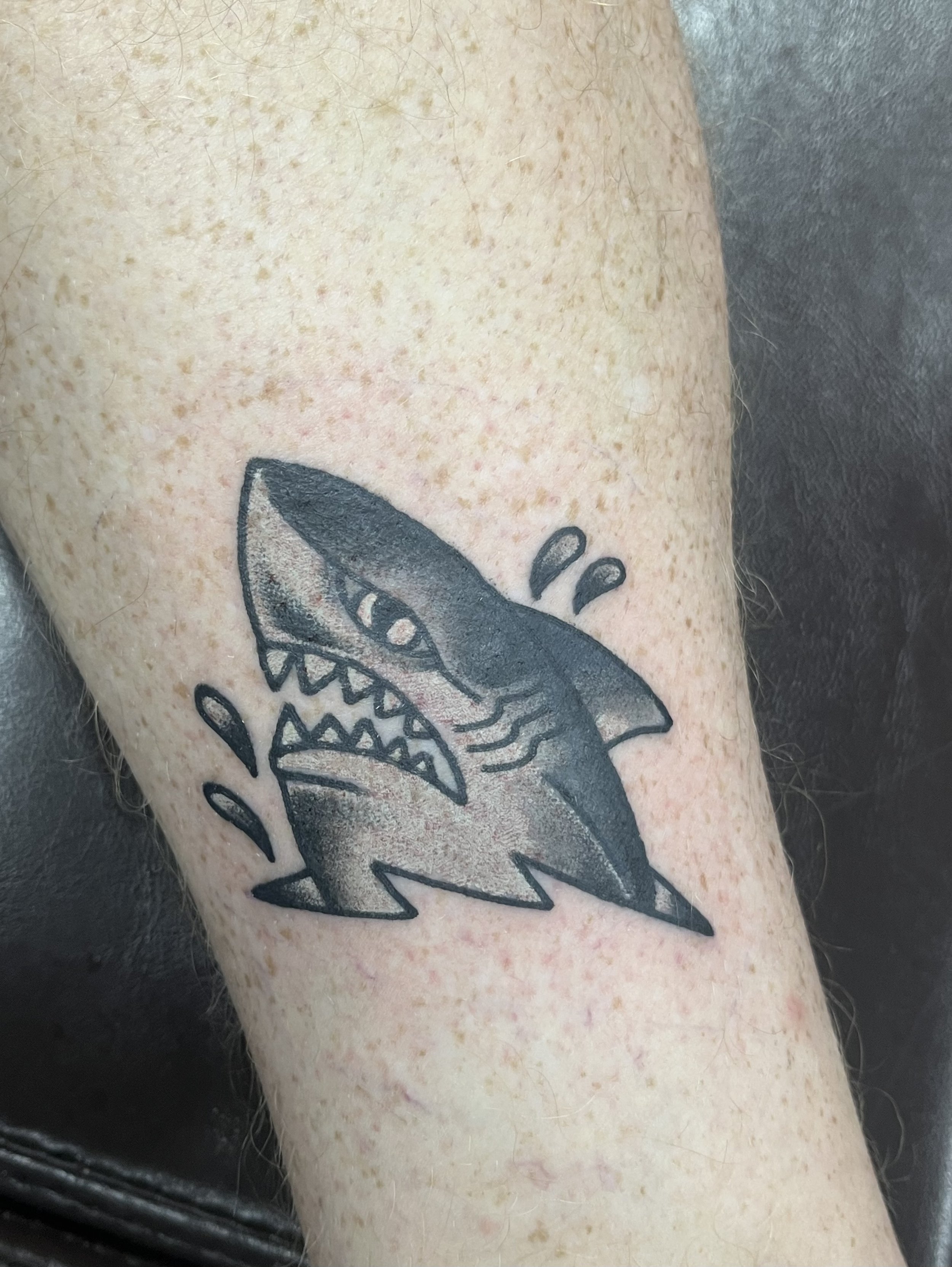 black-grey-shark-tattoo-treasure-island-fl.jpeg