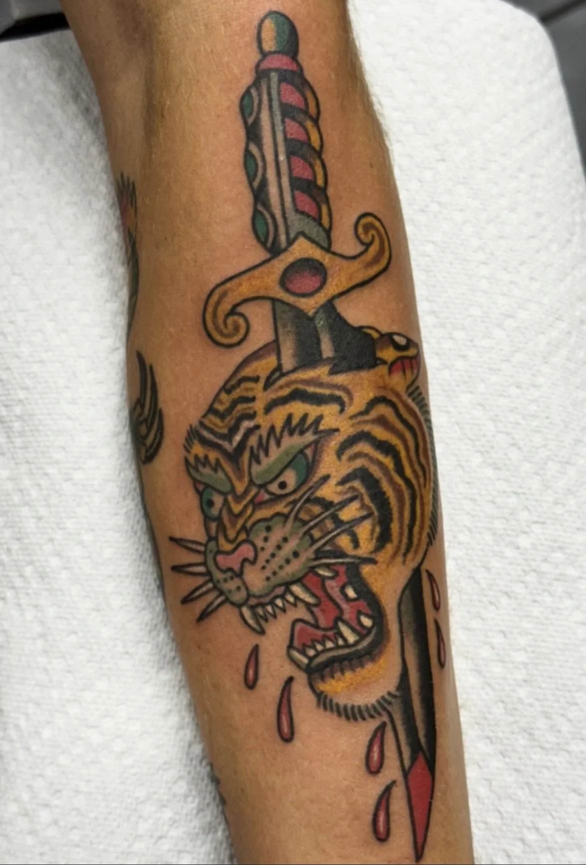 color-tiger-forearm-tattoo-treasure-island-fl.jpg