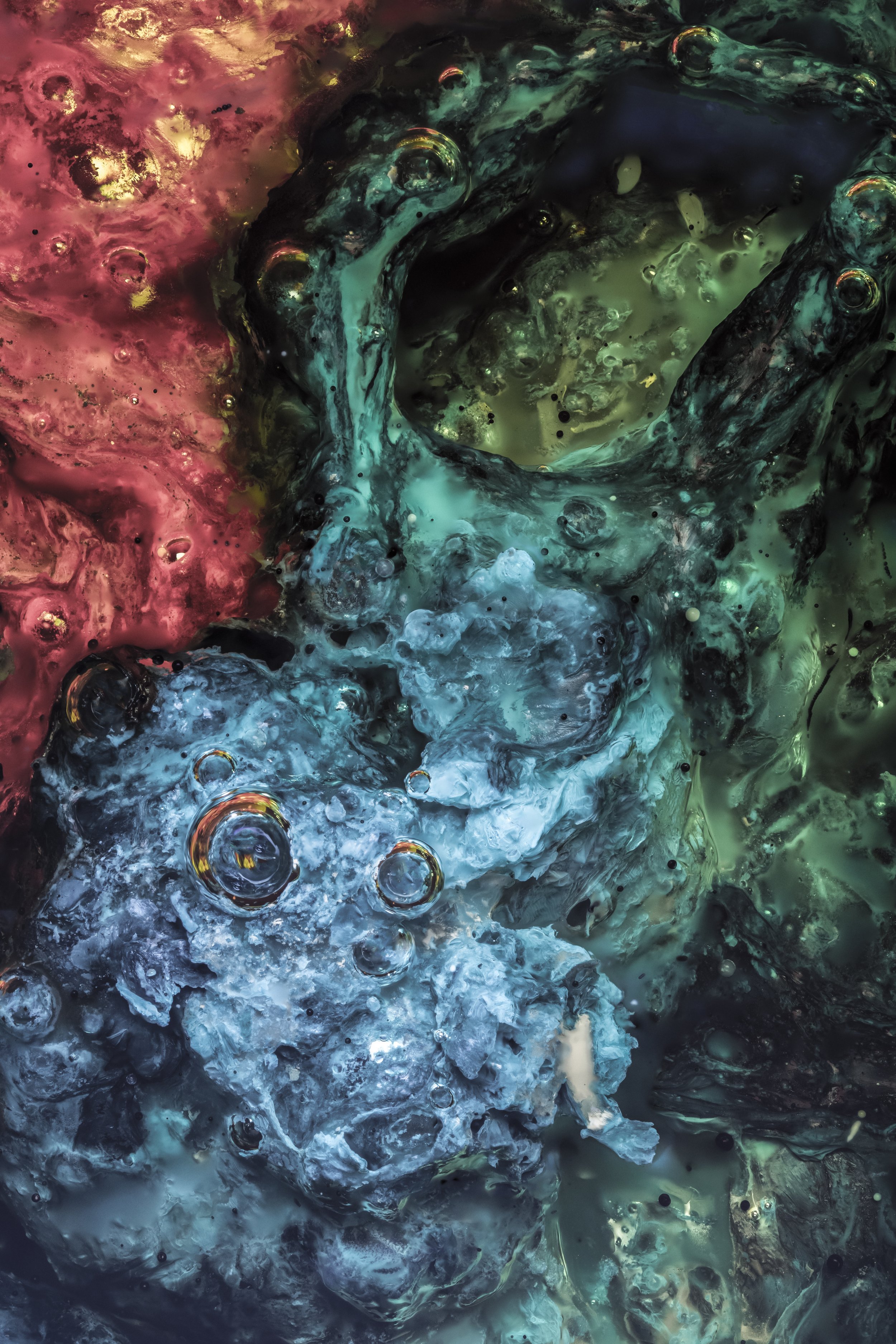 daily abstract photo challenge macro fluid colours.jpg