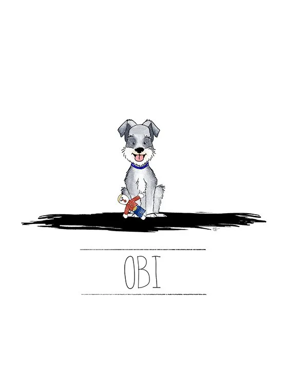 Obi.jpg