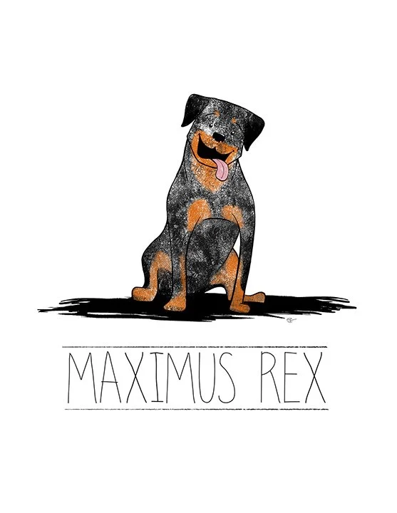 Maximus.jpg