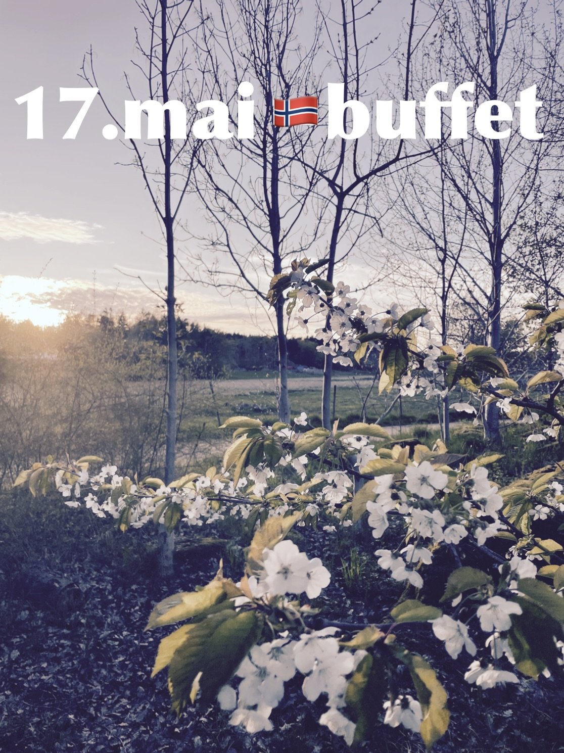 17. mai buffet